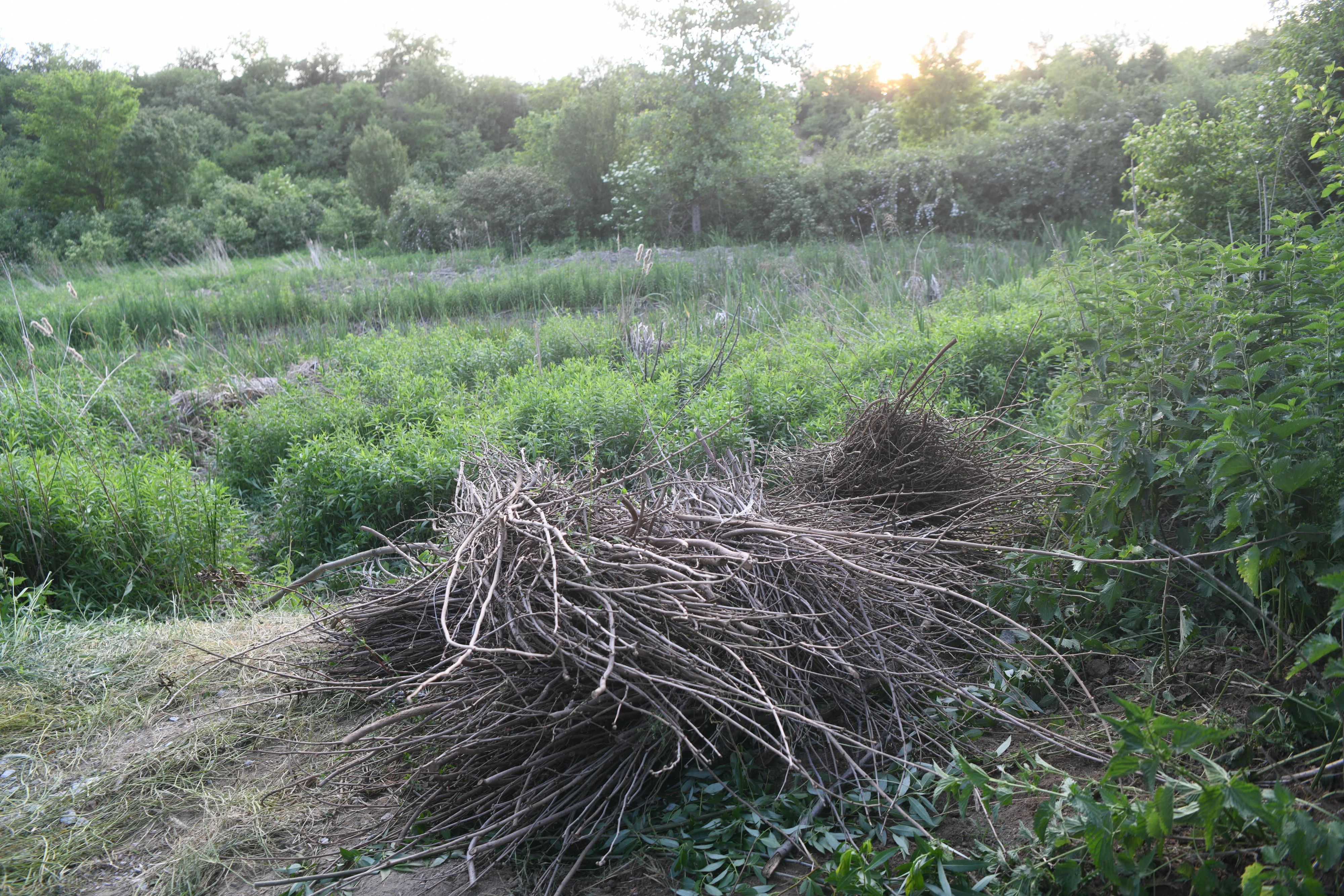 Inđija 21.05.2026. Rupa gde je navodno bilo zakopano telo. Policija, pronađeno telo muškarca u buretu kod Inđije, pretpostavlja se da je u pitanju telo nestalog Aleksandra Nešovića Baje, Aleksandar Nešović Baja Foto: Filip Krainčanić/Nova.rs