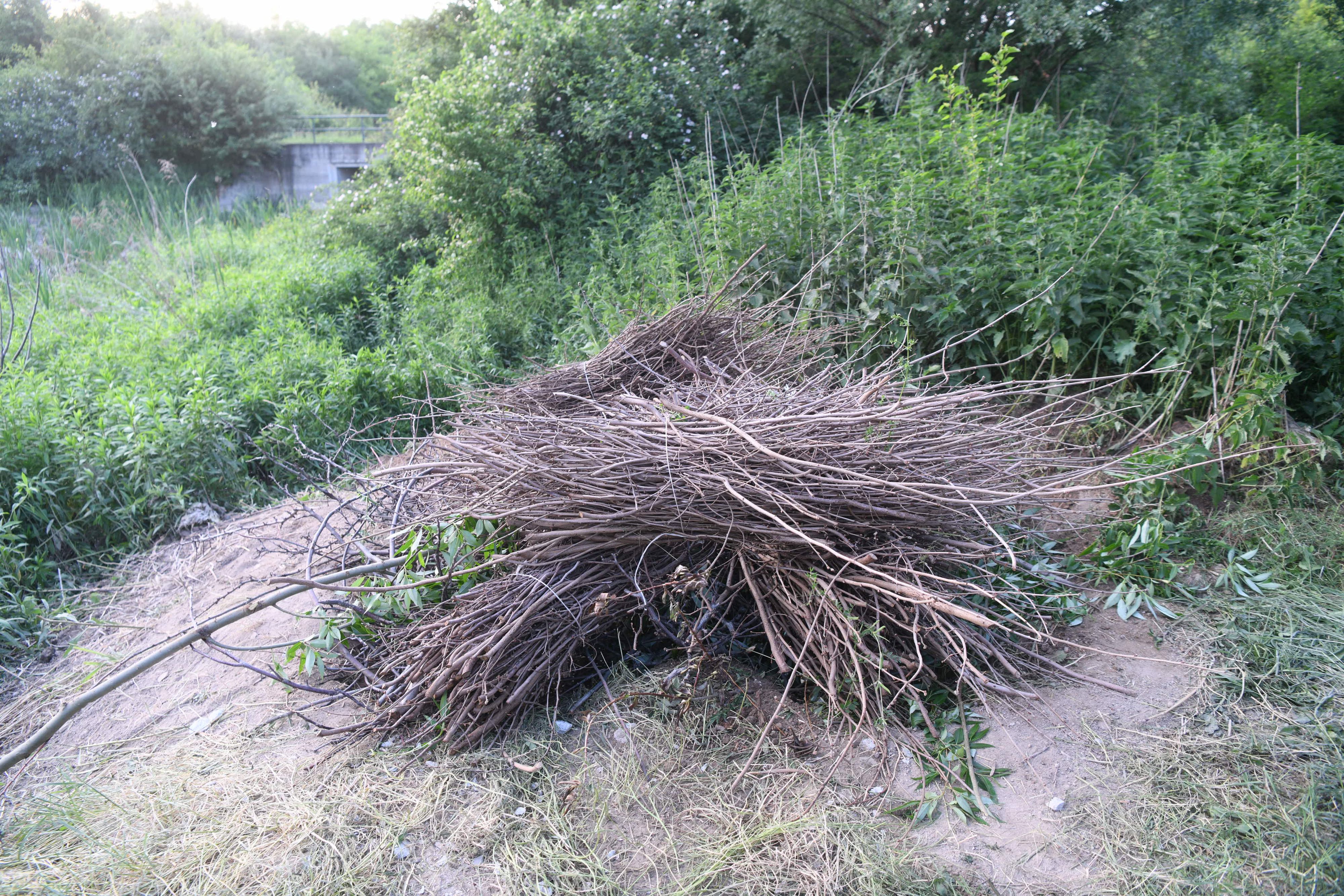 Inđija 21.05.2026. Rupa gde je navodno bilo zakopano telo. Policija, pronađeno telo muškarca u buretu kod Inđije, pretpostavlja se da je u pitanju telo nestalog Aleksandra Nešovića Baje, Aleksandar Nešović Baja Foto: Filip Krainčanić/Nova.rs
