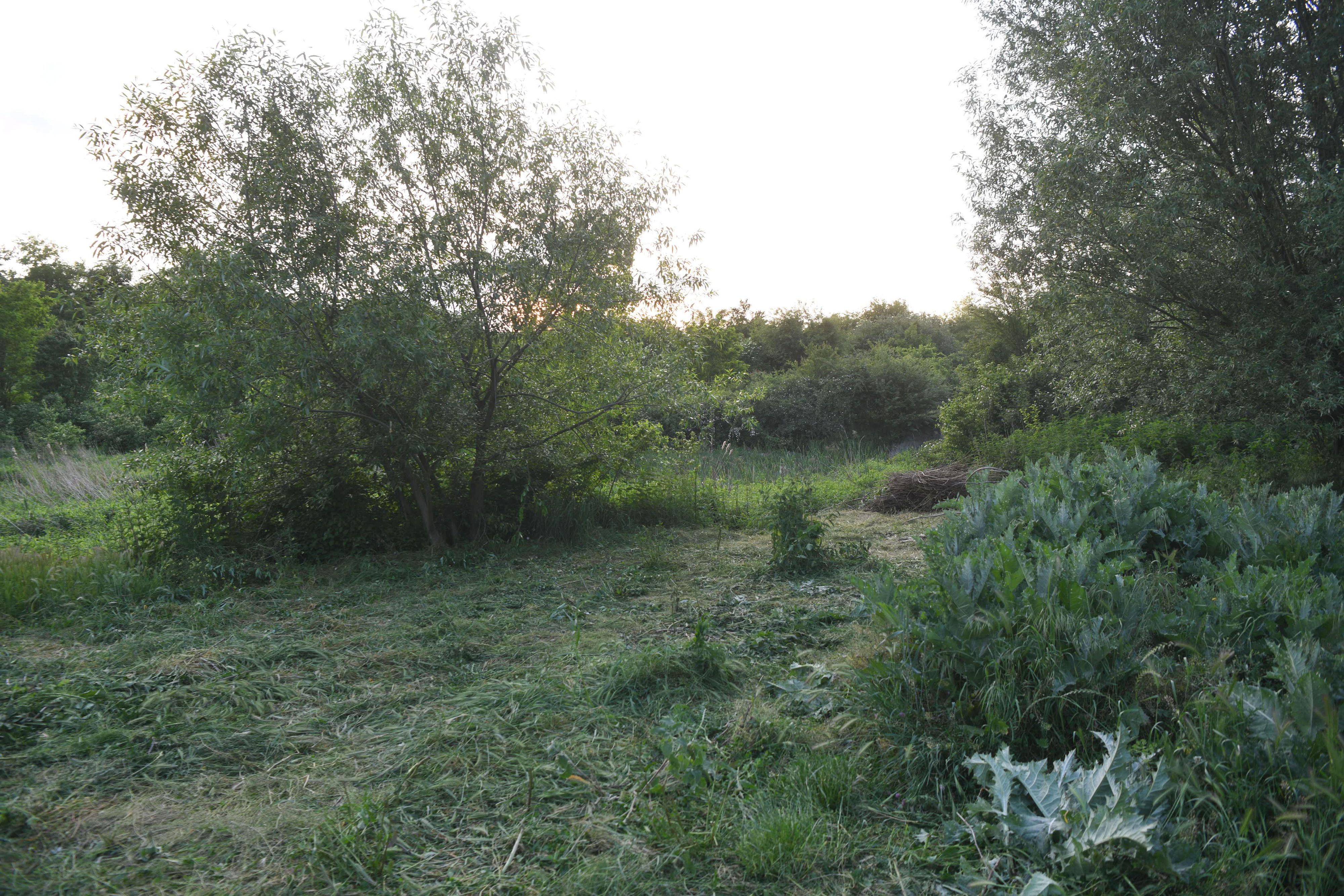 Inđija 21.05.2026. Rupa gde je navodno bilo zakopano telo. Policija, pronađeno telo muškarca u buretu kod Inđije, pretpostavlja se da je u pitanju telo nestalog Aleksandra Nešovića Baje, Aleksandar Nešović Baja Foto: Filip Krainčanić/Nova.rs