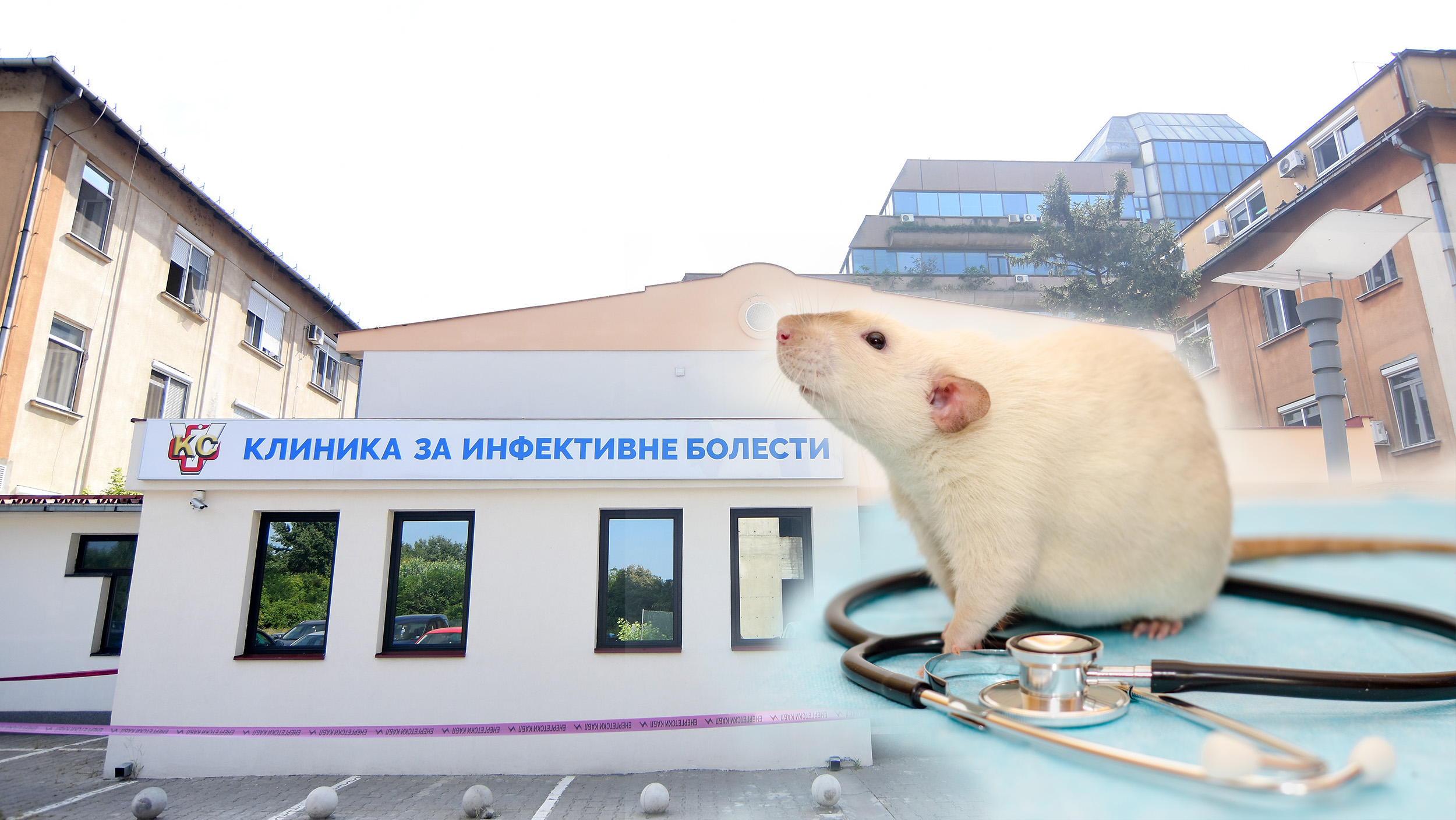 Infektivna klinika Novi Sad pacov kombo