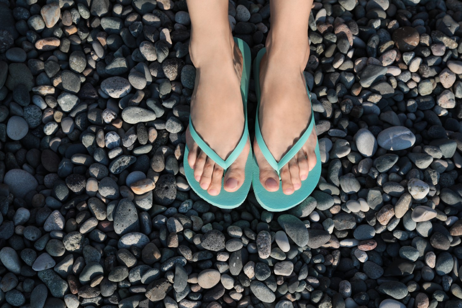 Woman in stylish flip flops on pebble beach, closeup