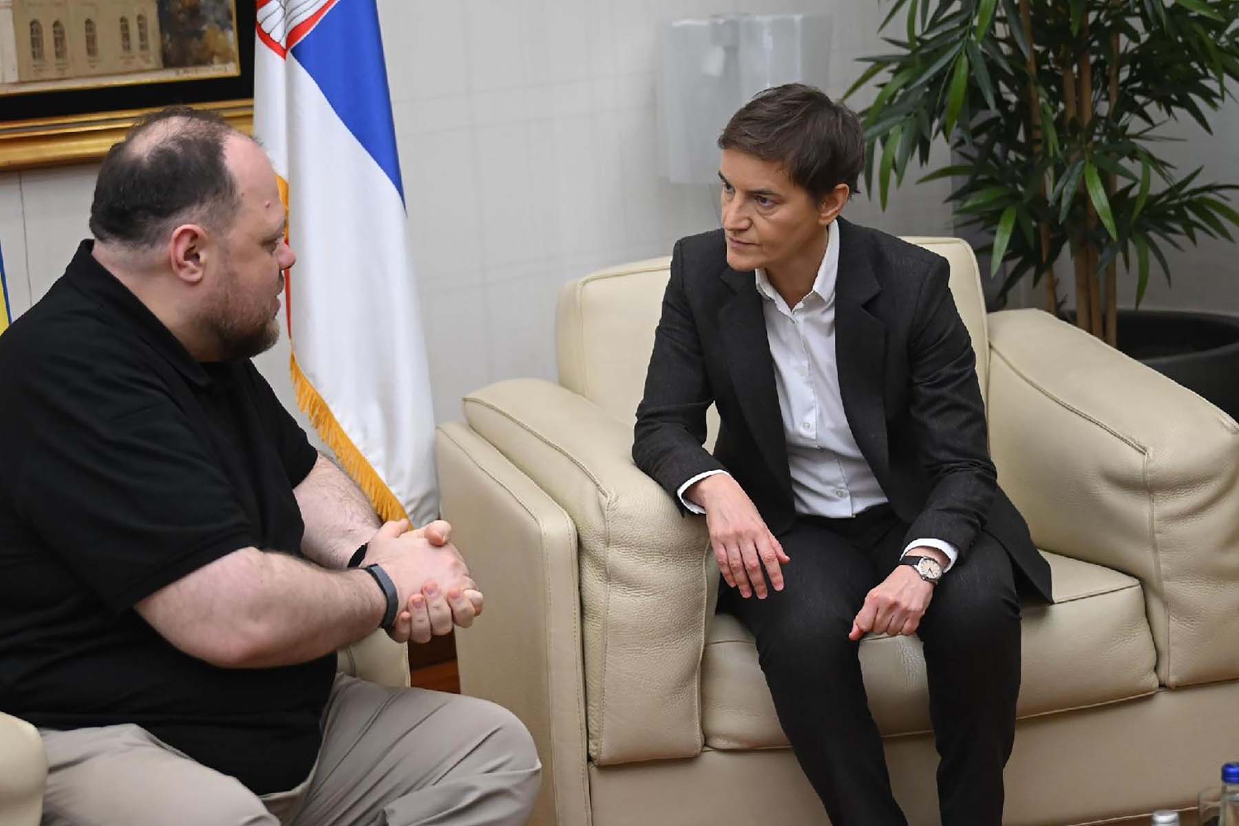 Ana Brnabić, Ruslan Stefančuk (5) FoNet Parlament Peđa Vučković.JPG