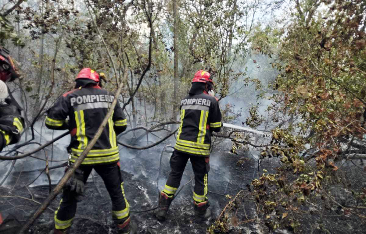 Saopstenje-Gasenje pozara-Izjava vodje nemackog vatrogasnog tima (4).jpg