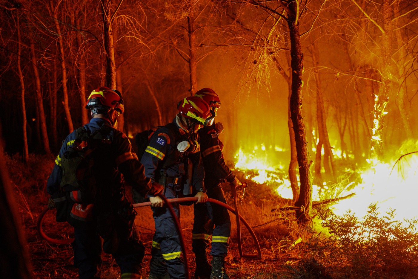 Forest Fire In Asprochori, Oropos, Attica â€“ July 9, 2025