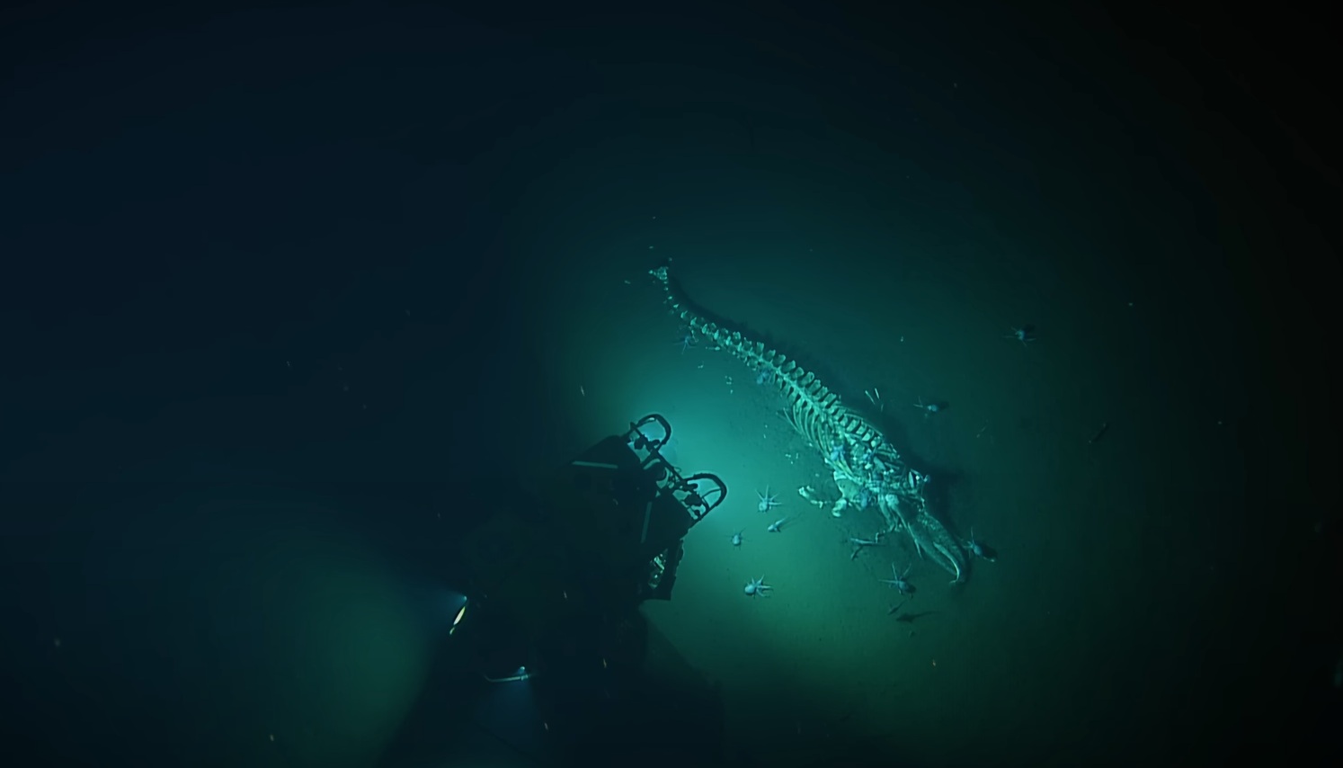 Snimak sa dubine 3500 metara