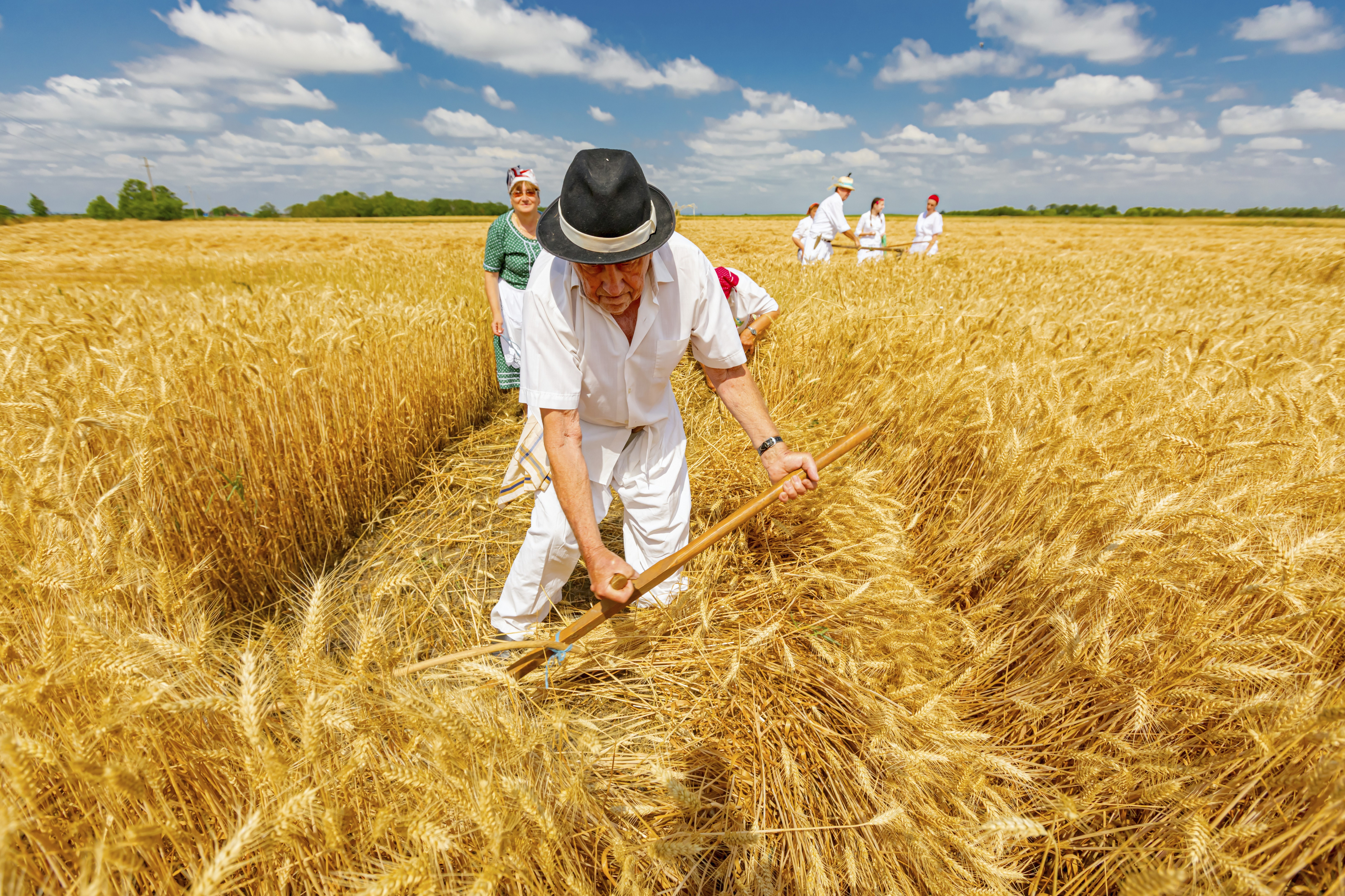 profimedia-1023808988