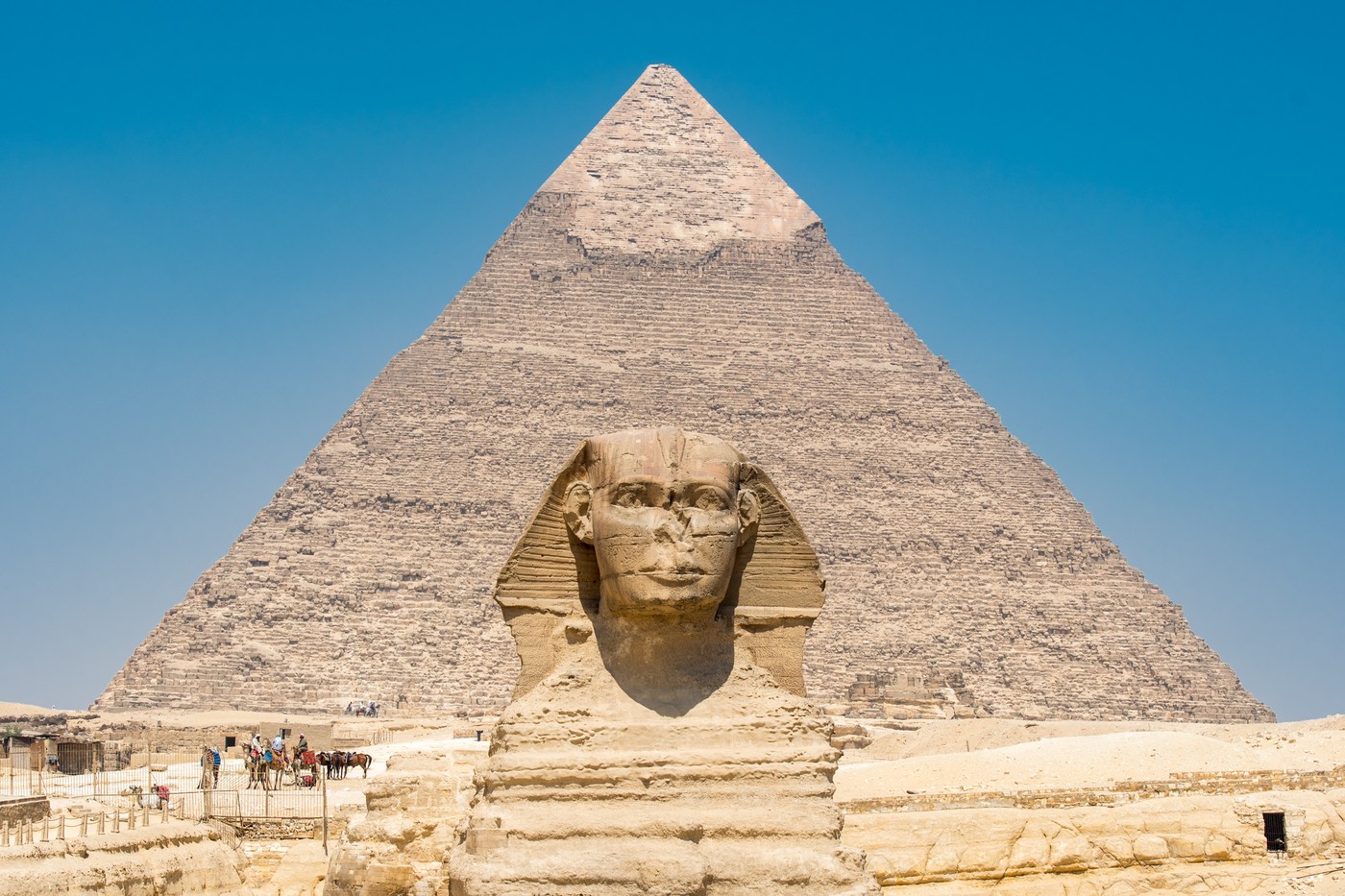 Cairo, Egypt the Great Sphinx of Giza standing tall with the Great Pyramids of Giza in the background. This particular one is The Pyramid of Khafre, the second largest of the three great pyramids.