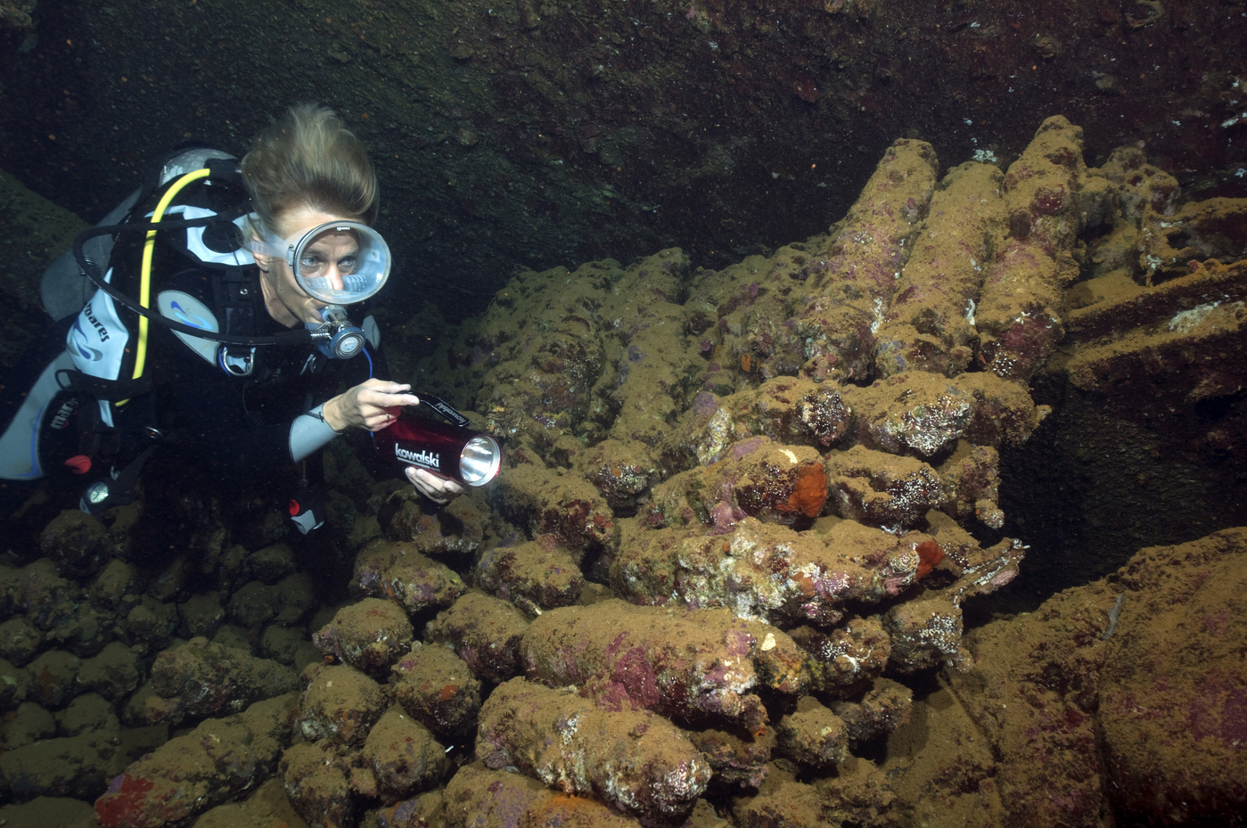 Divers and shells in wreck Umbria, military freighter, freighter, sunk 1941, Wingate Reef, Port Sudan, Sudan, Port Sudan,Image: 706295750, License: Rights-managed, Restrictions: , Model Release: no, Credit line: F. Schneider / imageBROKER / Profimedia