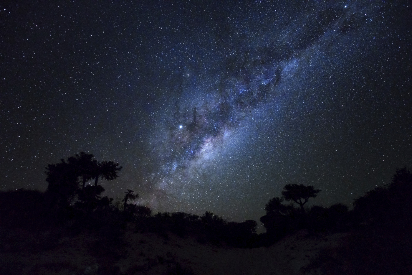Starry night with Milky Way over palm trees silhouettes as seen from Anakao, Madagascar, Anakao, Madagascar, Africa,Image: 998448618, License: Royalty-free, Restrictions: , Model Release: no, Credit line: Lubo Ivanko / imageBROKER / Profimedia