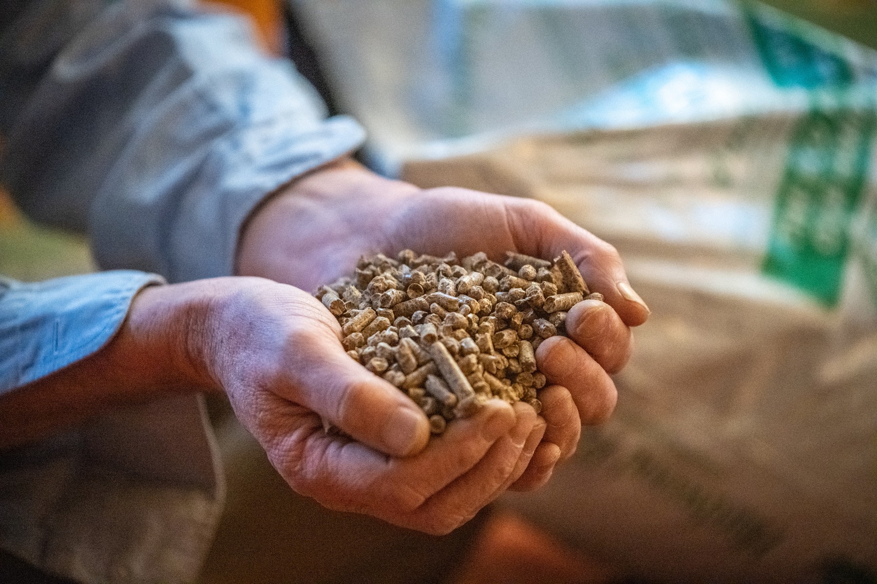 pelet, ogrev, Handful of pellets for pellet stove