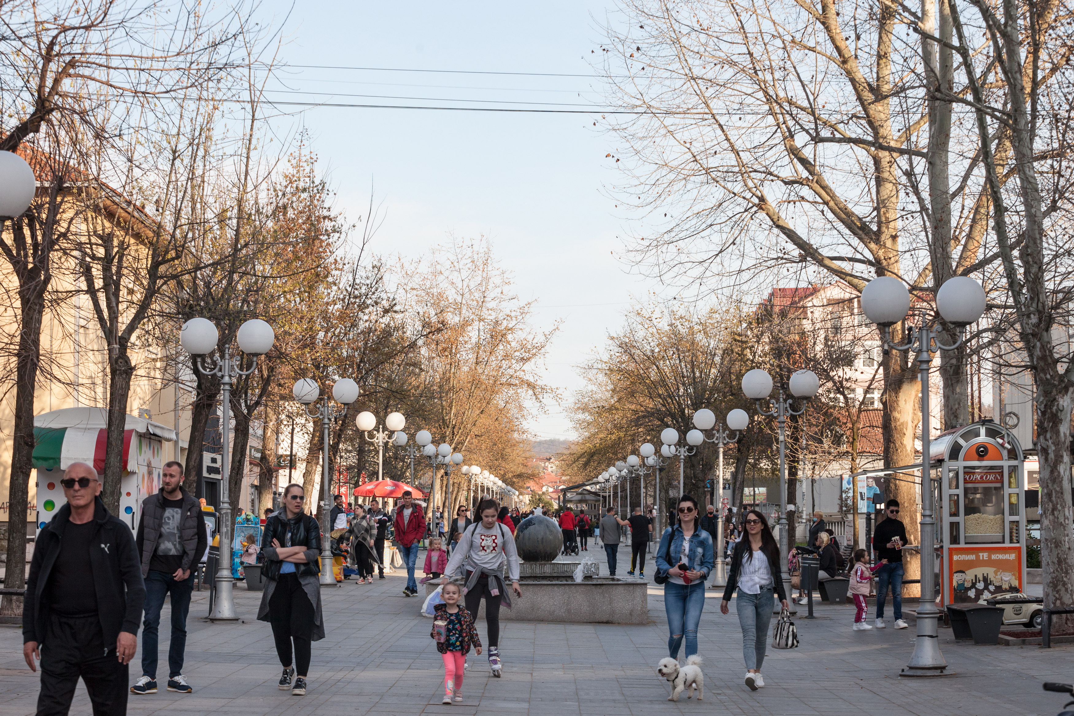 Lazarevac BalkansCat / Shutterstock.com