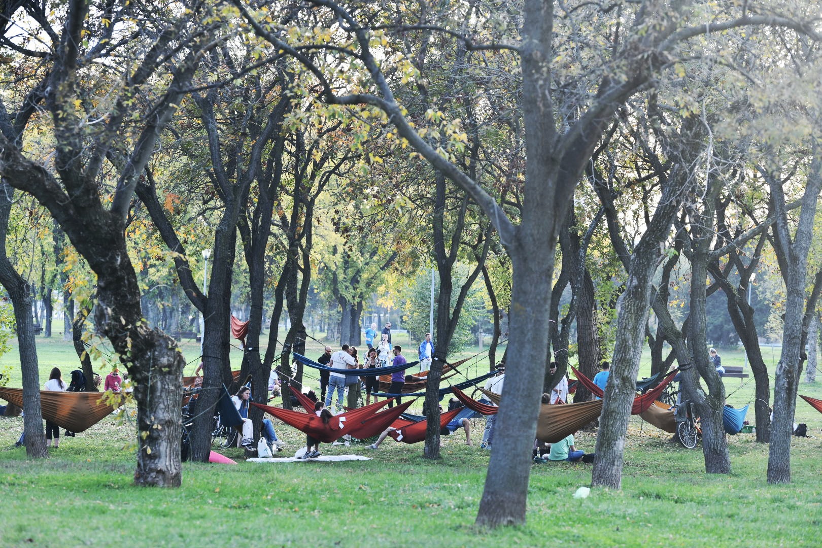 Beograd, 27.10.2024. Lepo vreme, lep jesenji dan, jesen u Beogradu, park, hamok, ležaljke, vikend u Beogradu, vremenska prognoza Foto: Vesna Lalić/Nova.rs