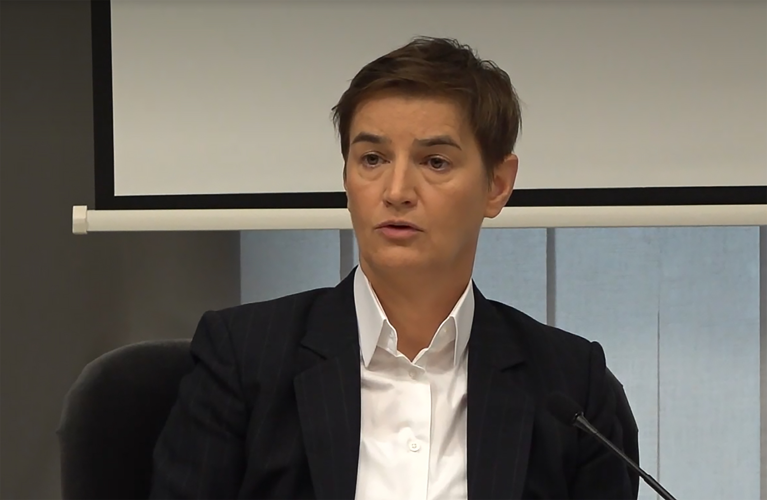 Ana Brnabić lični panel u Briselu   Foto: N1