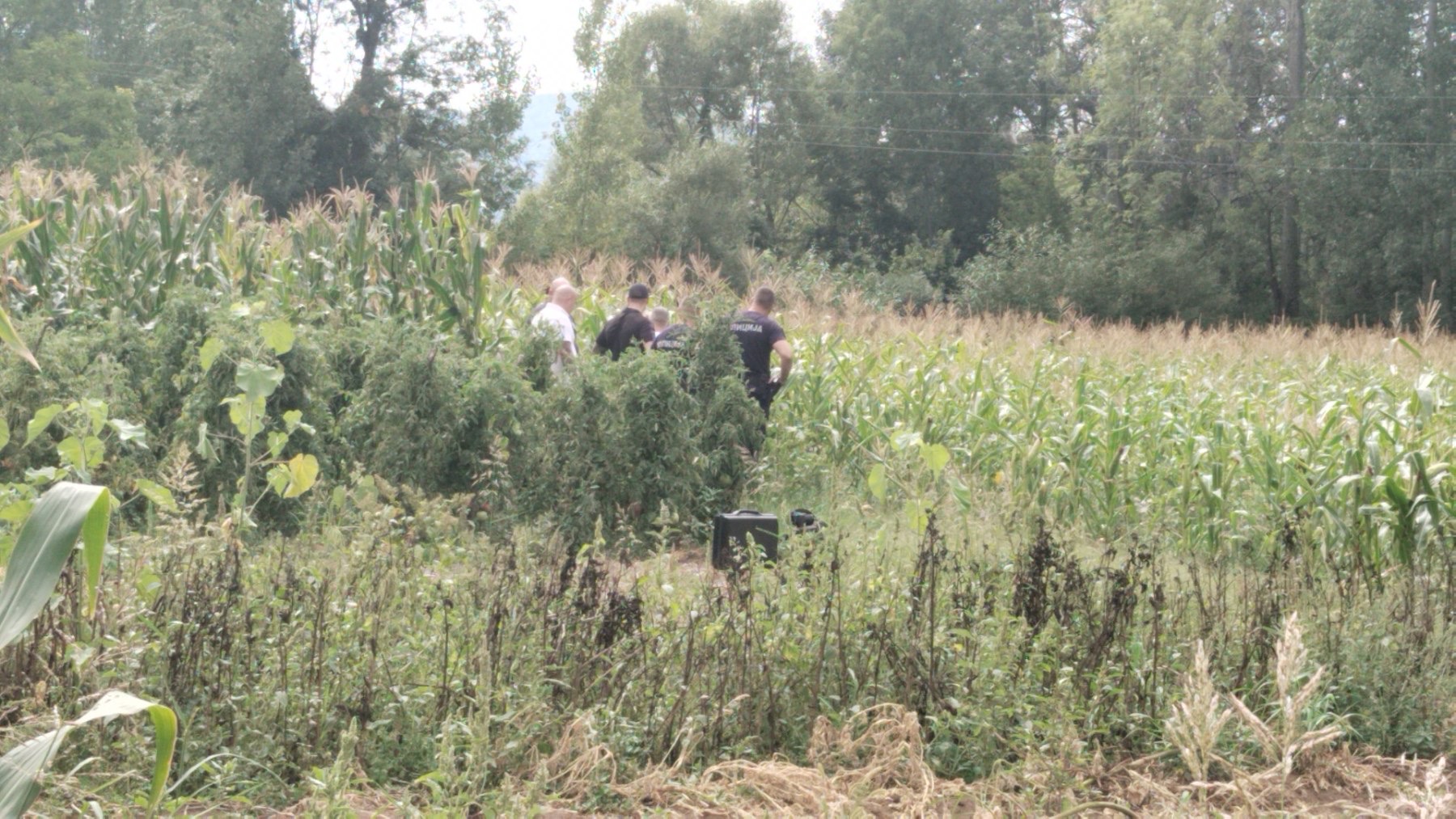 Ubistvo Svrljig Pirkovac