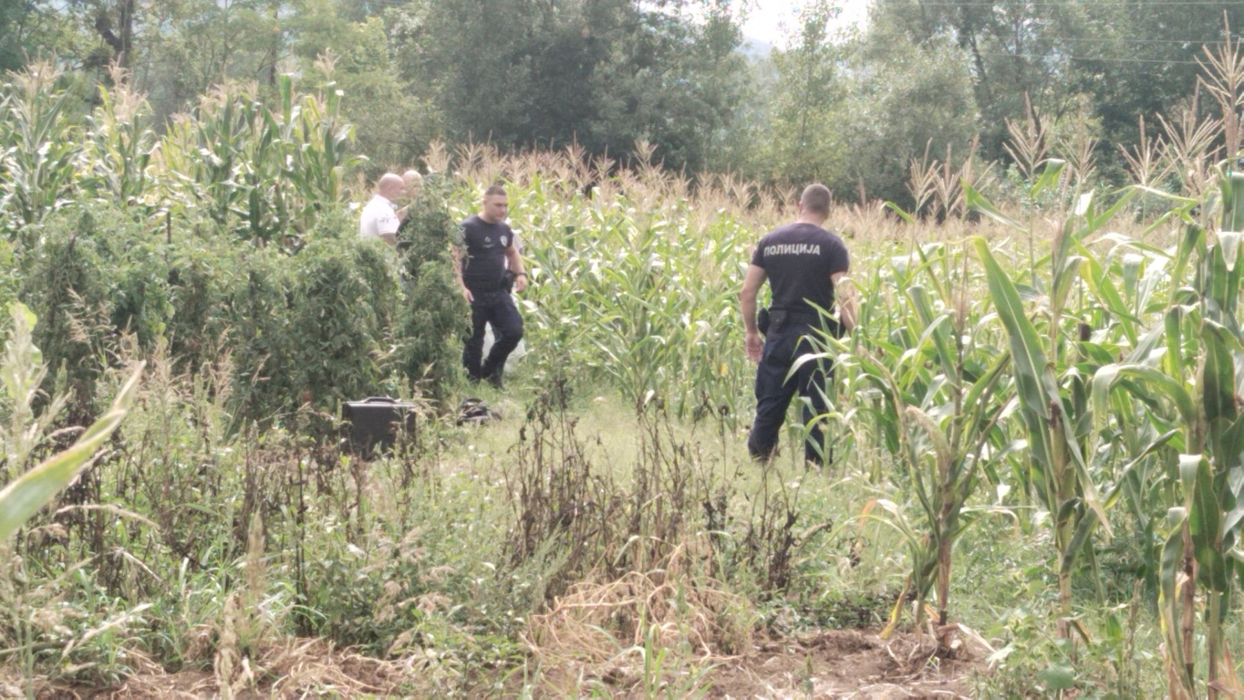 Ubistvo Svrljig Pirkovac