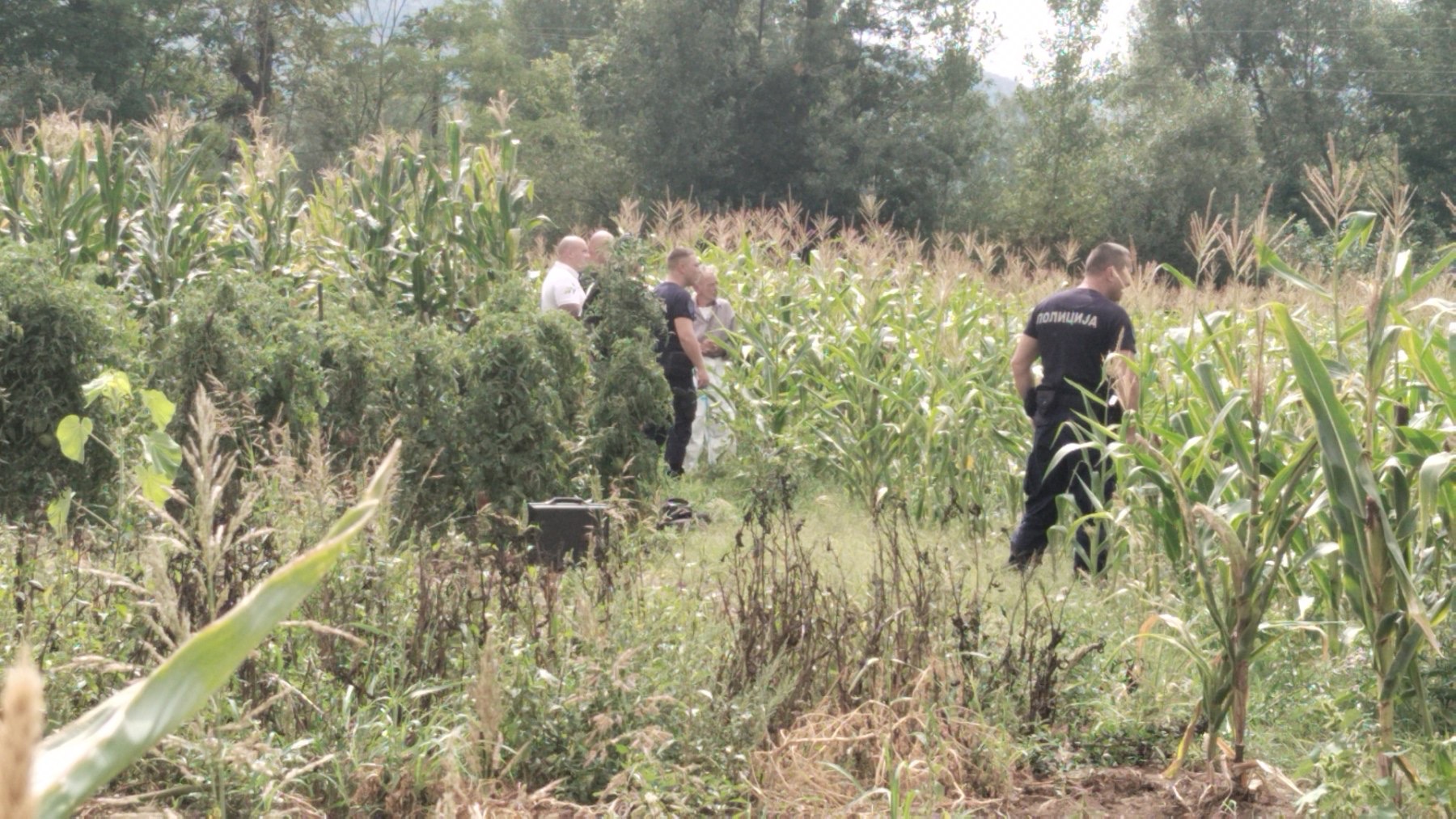 Ubistvo Svrljig Pirkovac