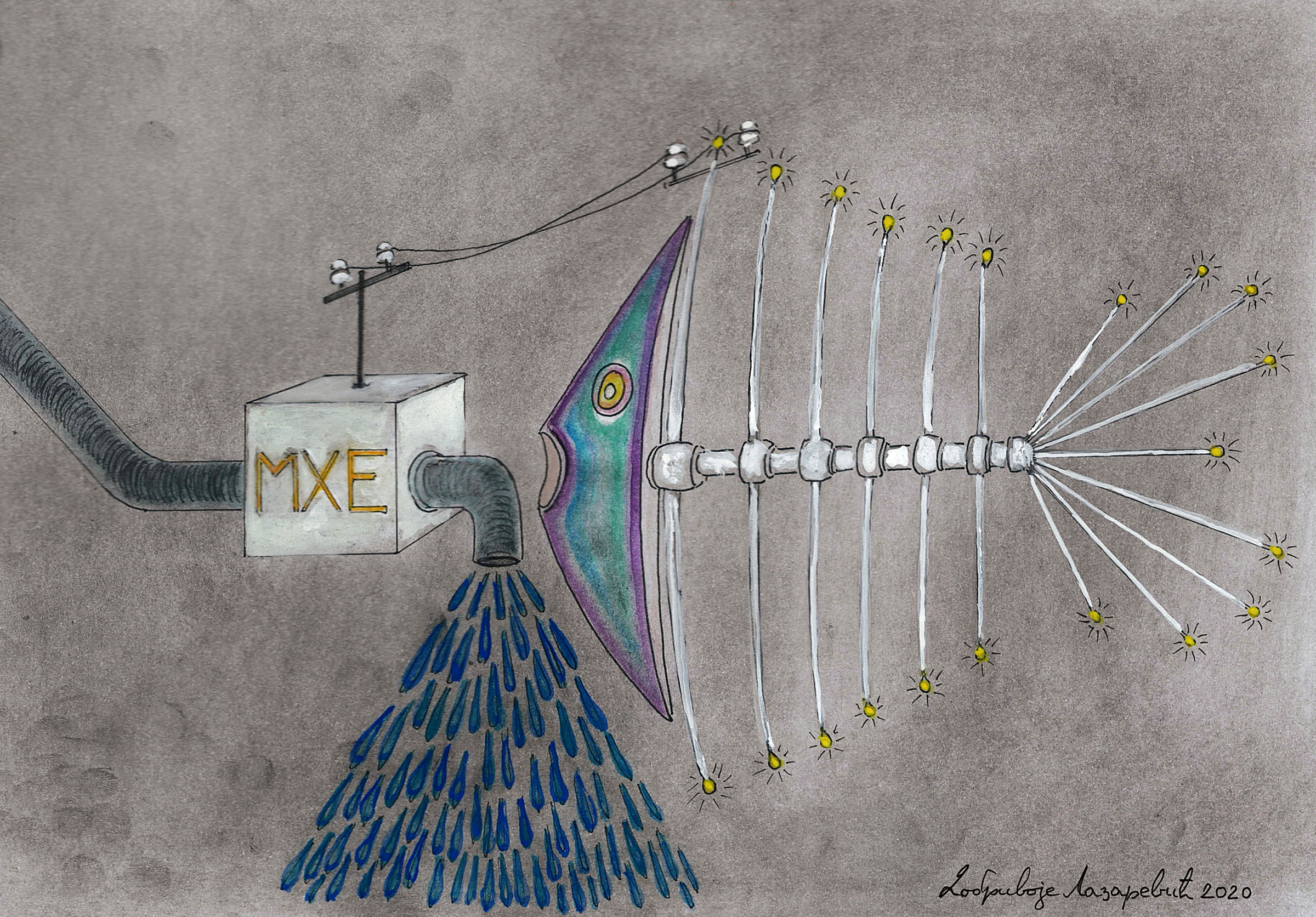 Međunarodni konkurs karikature mini hidroelektrane maxi razaranje Ilustracija: Dobrivoje Lazarević