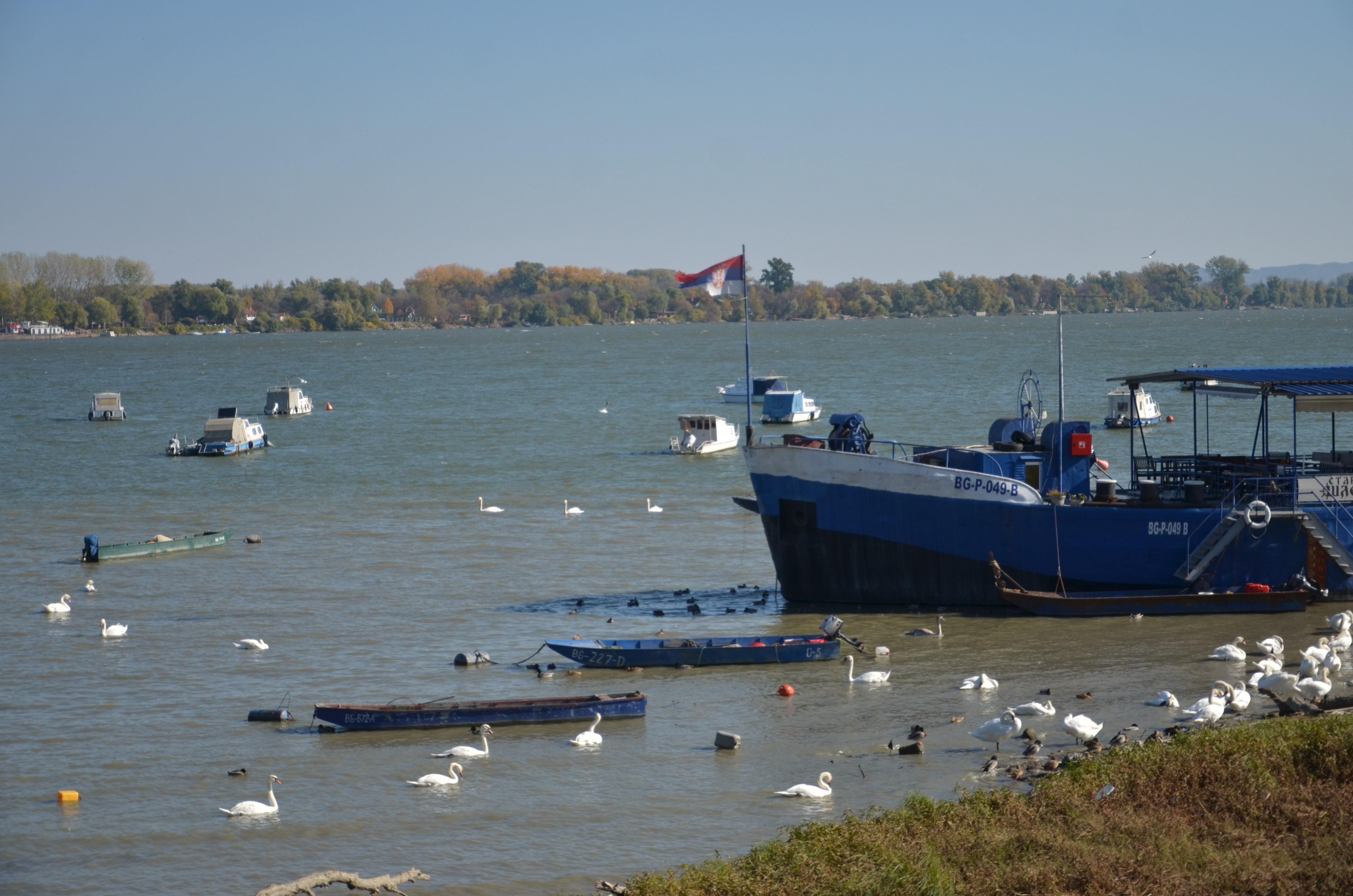 Beograd, 26.10.2021. Zemun, vreme, vremenska prognoza,jesen, reka, Dunav, čamac, čamci