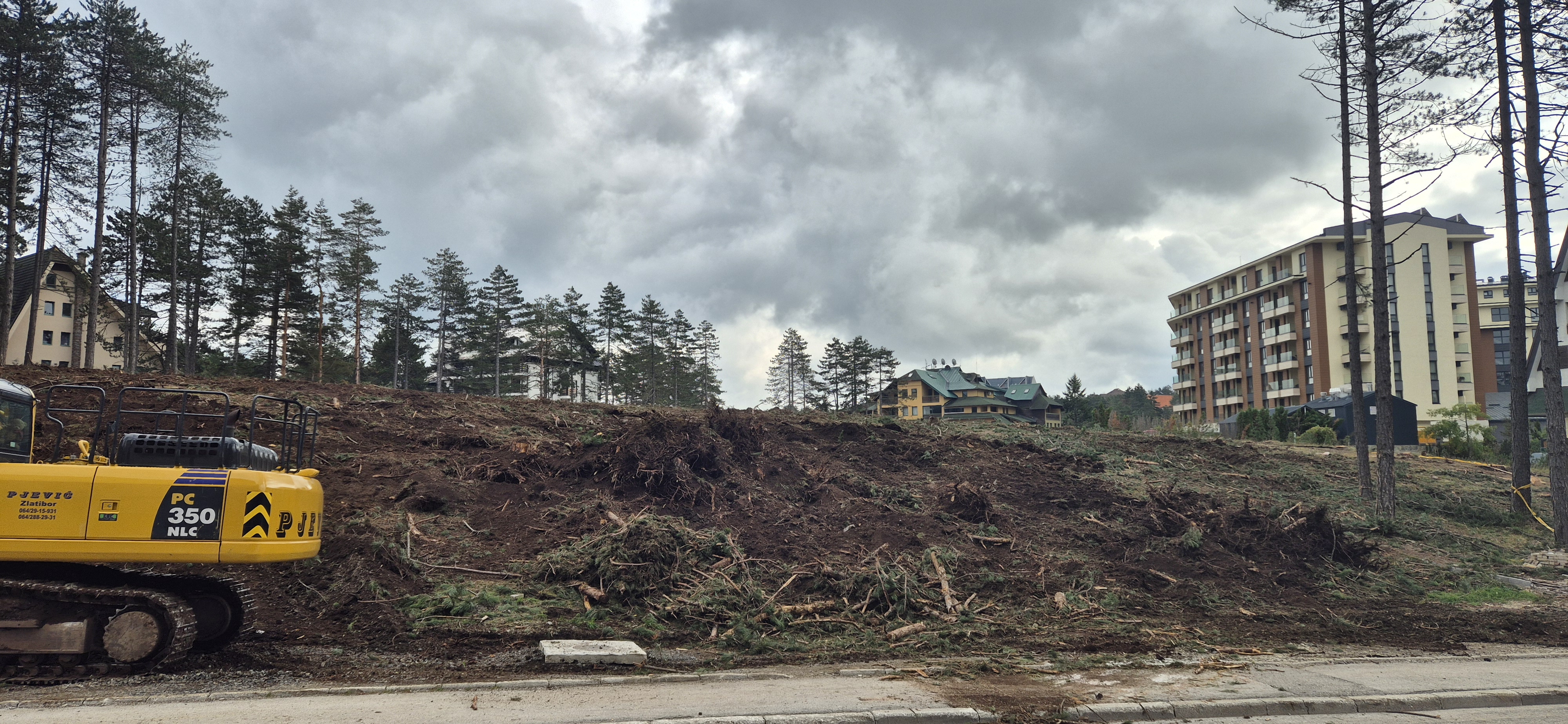 zlatibor seča šume