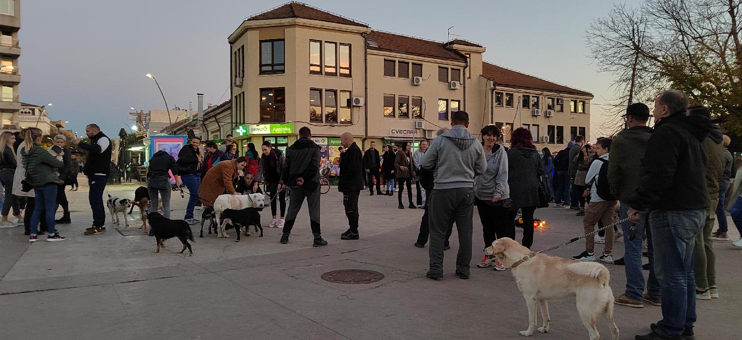 IMG_20221015_180607_b