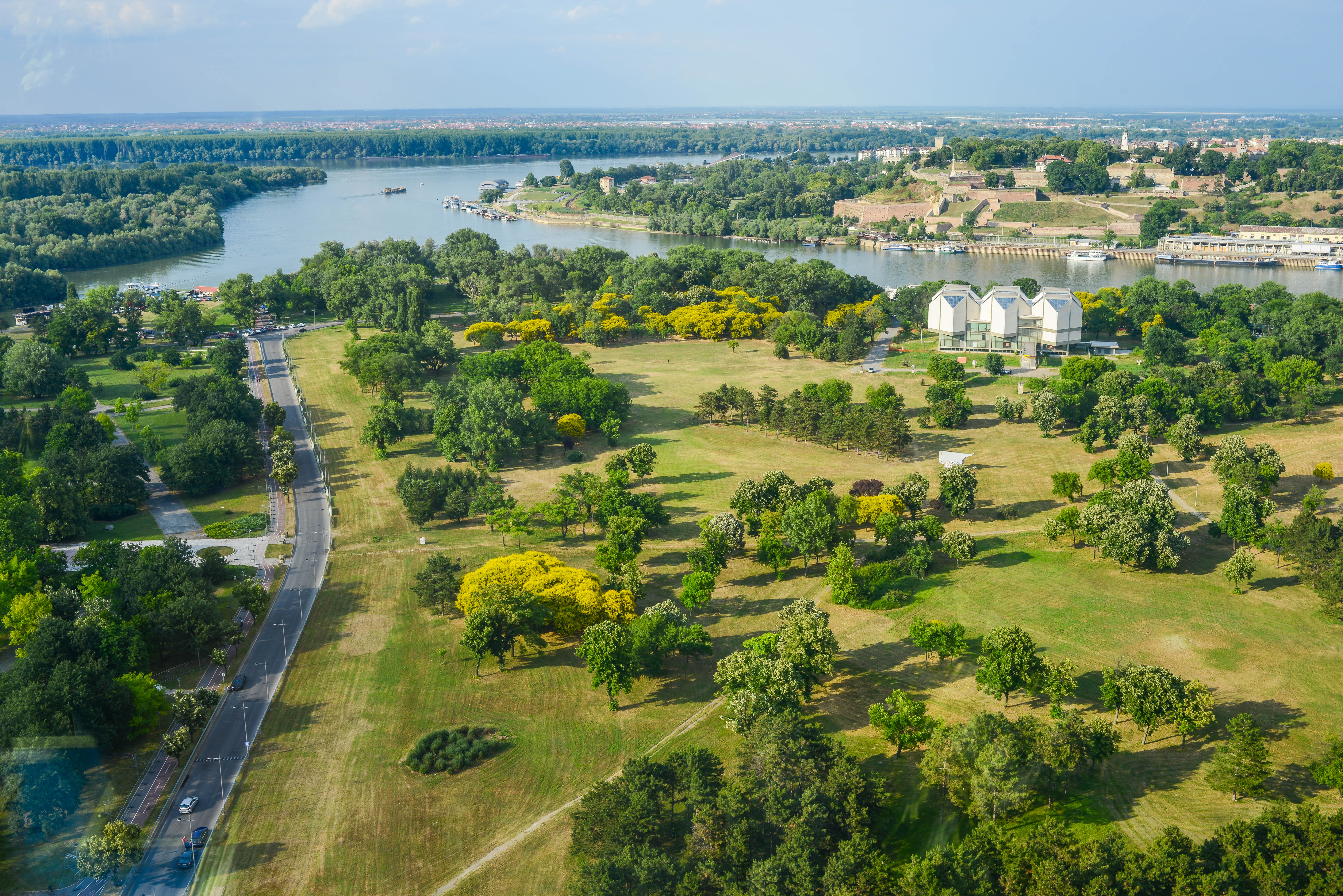 shutterstock_769738120