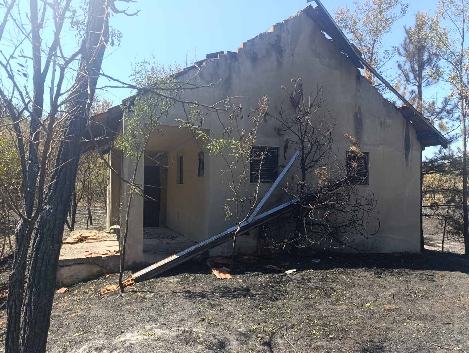 pozar u Vincima požar