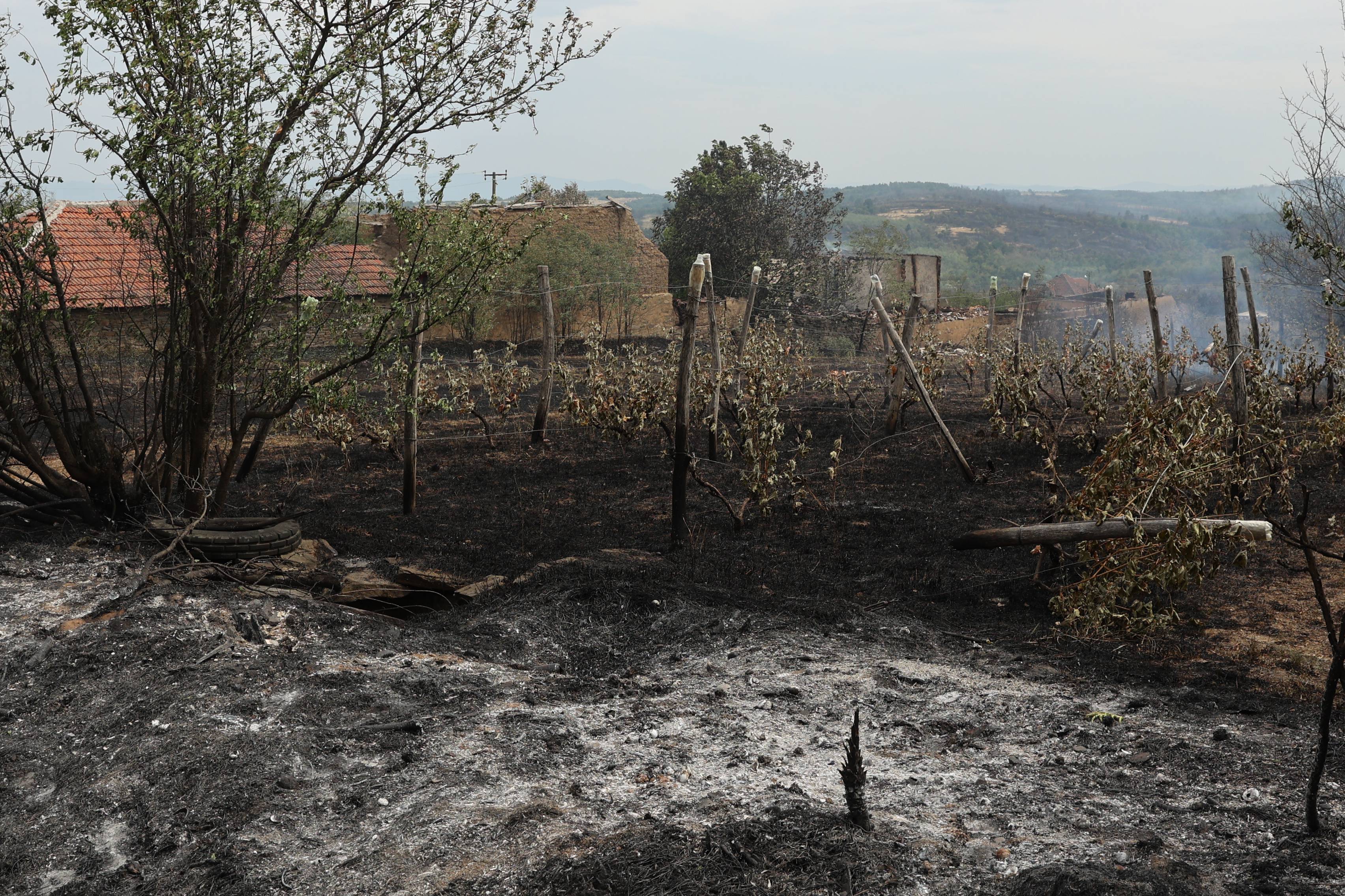 POZAR U SELU DUBOVO KOD DOLJEVCA