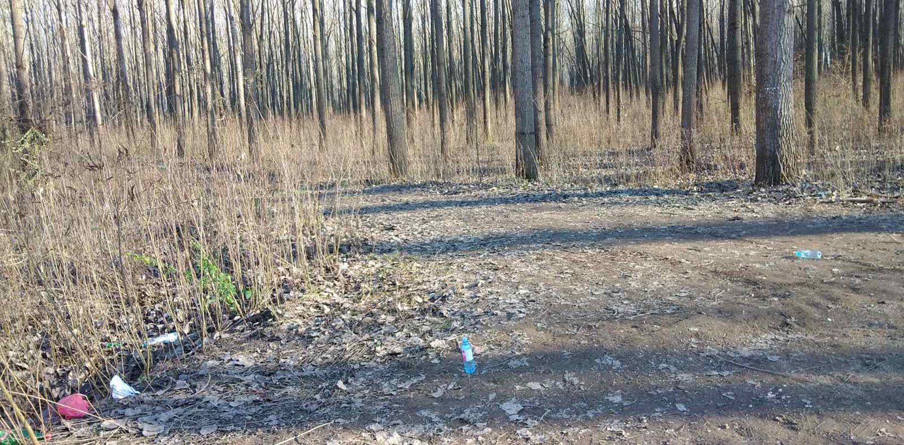 dvostruko ubistvo tartufara Braca P. J. (43) i S. J. (37) ubijena su jutros u sumi u Jarku, kod Sremske Mitrovice, dok su druga dvojica brace Dejan E. (38) i Nebojsa E. (36) ranjeni. Suma mesto na kome se dogodilo ubistvo, dvostruo ubistvo