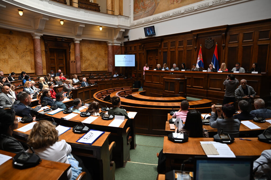 beograd 20.05.2025 Javno slušanje o neophodnosti uvođenja dnevnog boravka za decu u sukobu sa zakonom