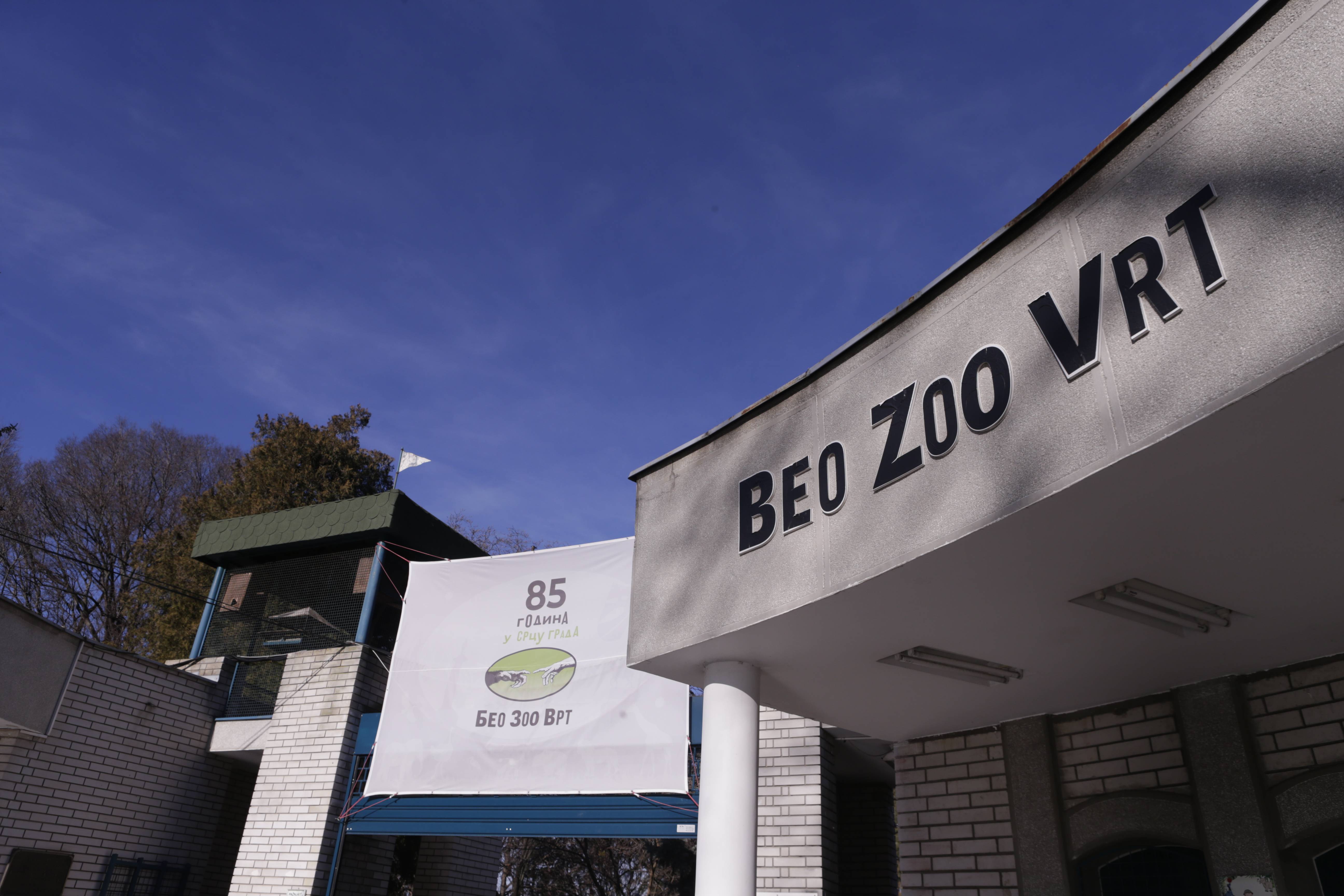 BEOGRADSKI ZOOLOSKI VRT Beogradski zooloski vrt