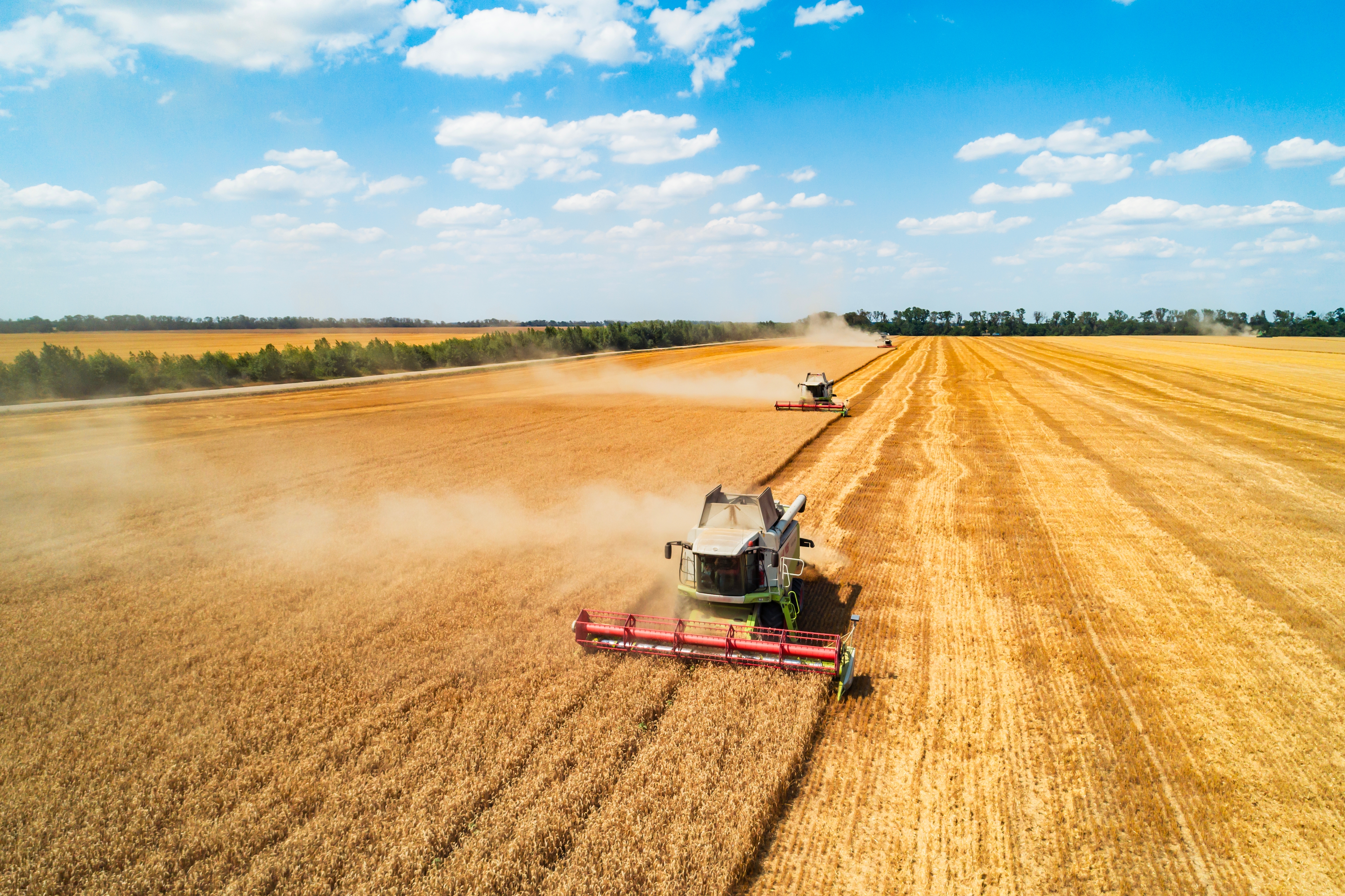 PR, KapitalRS, akcije, berza, PR tekst Foto: Shutterstock