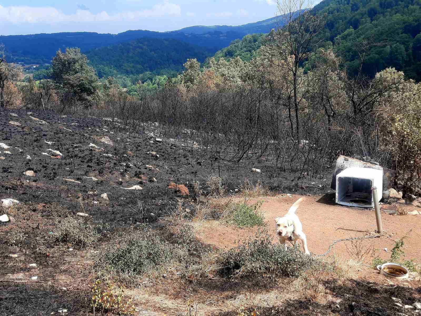 požar u selu bioska kod užica