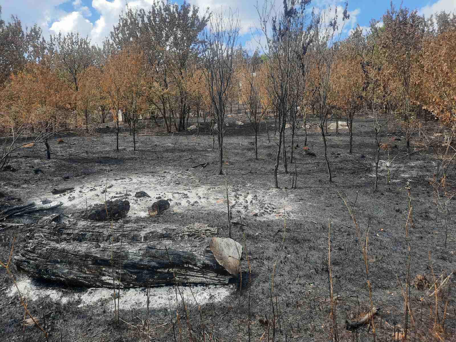 požar u selu bioska kod užica