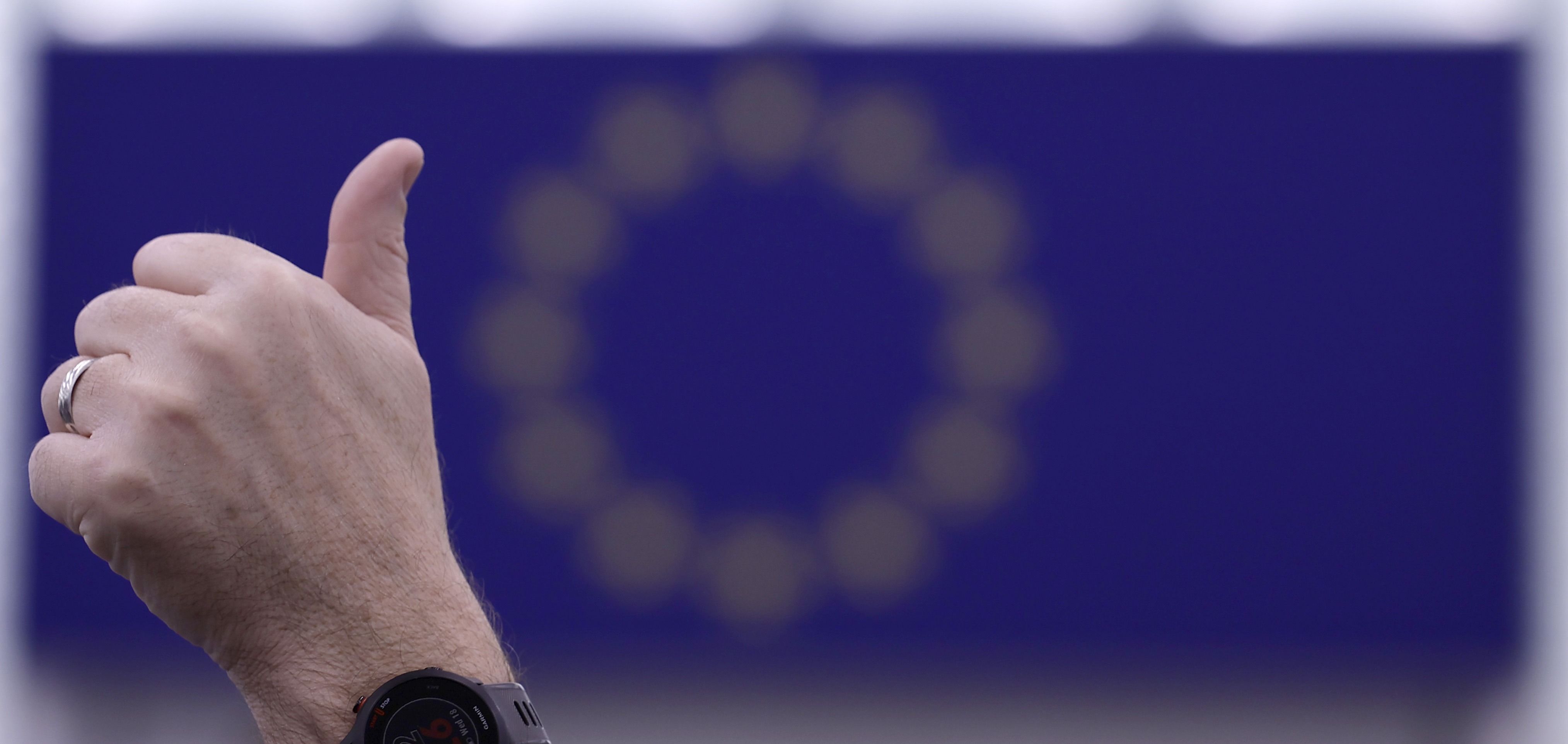 epaselect epa11783624 A member of European parliament during votings at the European Parliament in Strasbourg, France, 18 December 2024. The EU Parliament's session runs from 16 till 19 December 2024.  EPA-EFE/RONALD WITTEK