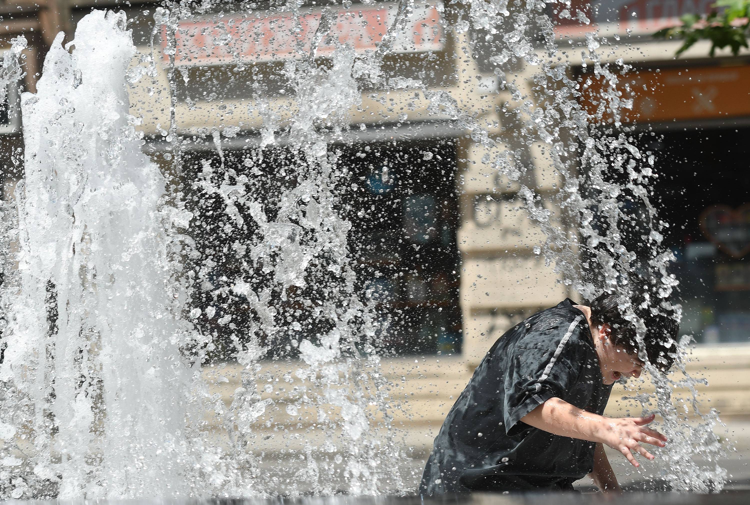 Novi Sad, 4.06.2025. - Suncano i veoma toplo vreme, danas u Novom Sadu. (BETAPHOTO/DRAGAN GOJIC)