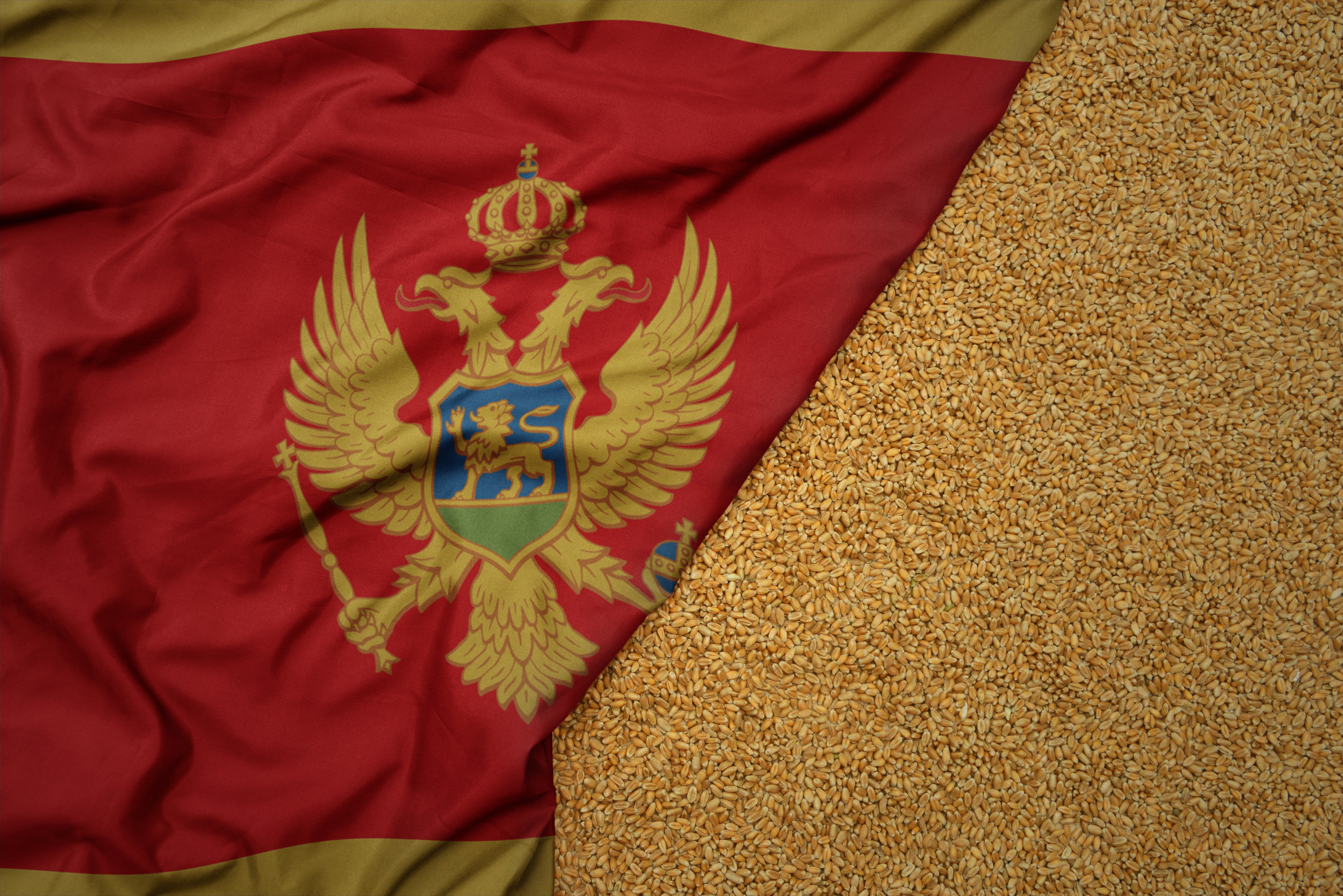 Wheat,Grain,On,The,Waving,Colorful,Big,National,Flag,Of