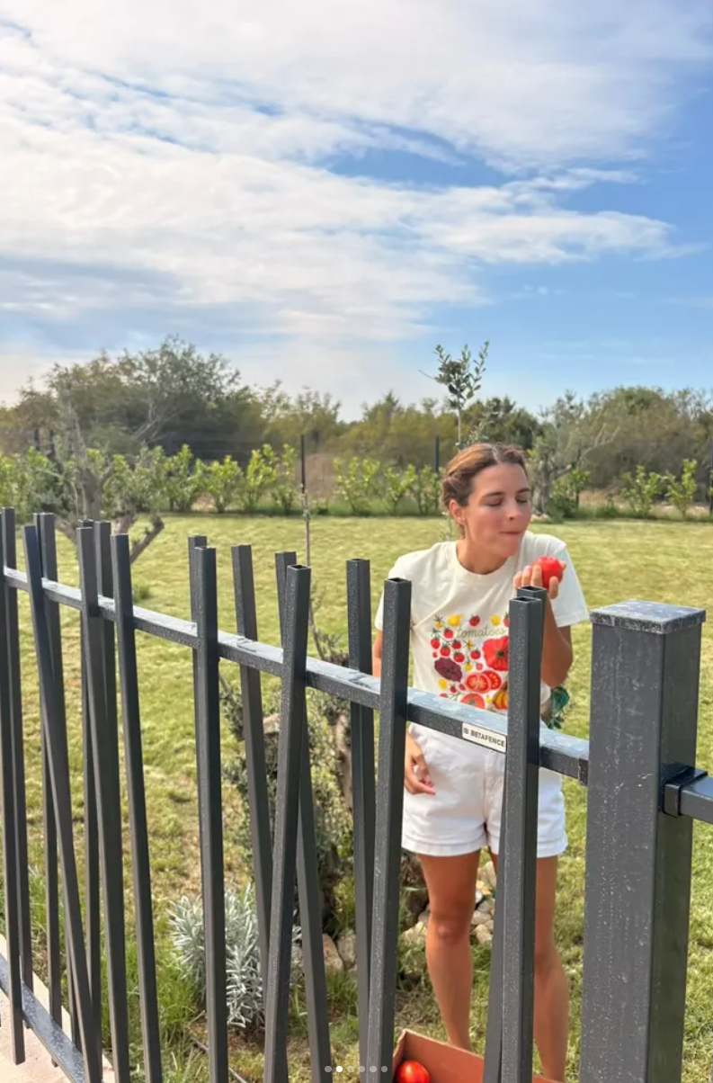 Screenshot 2025-09-26 153316