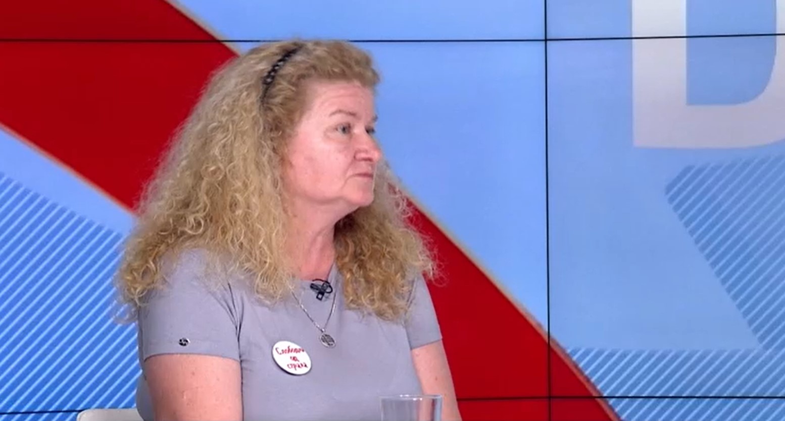 profesorka Fakulteta bezbednosti Svetlana Stanarević