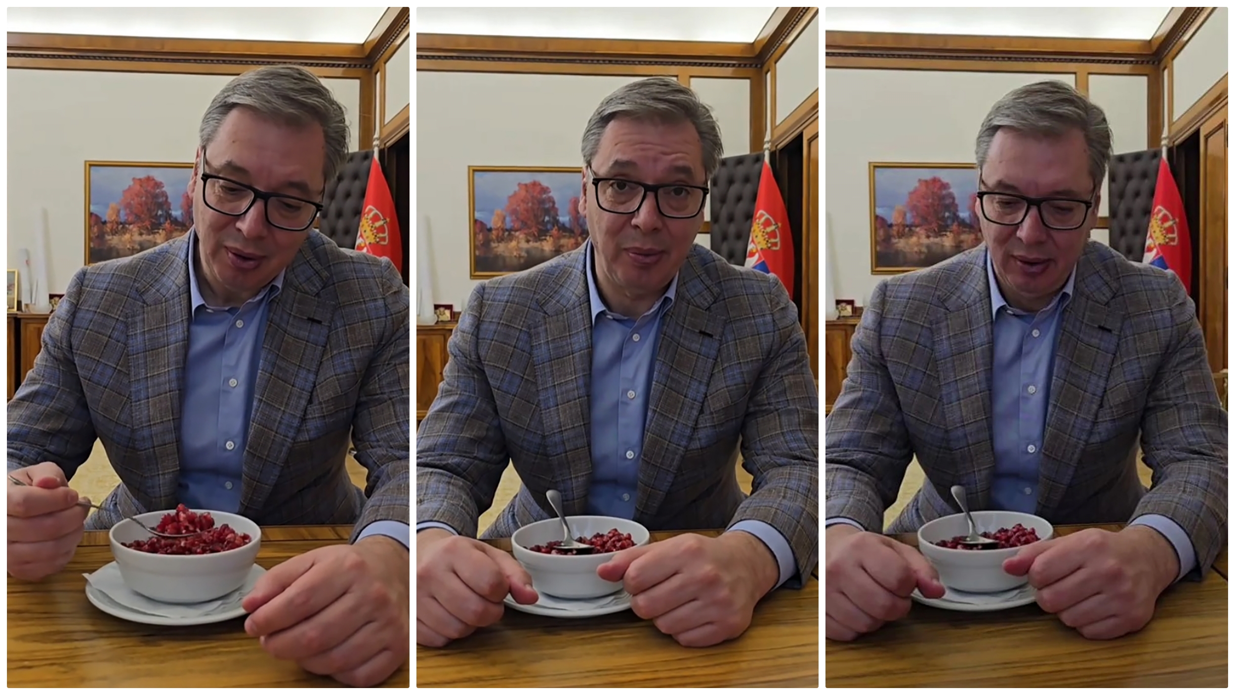 aleksandar vucic jede nar