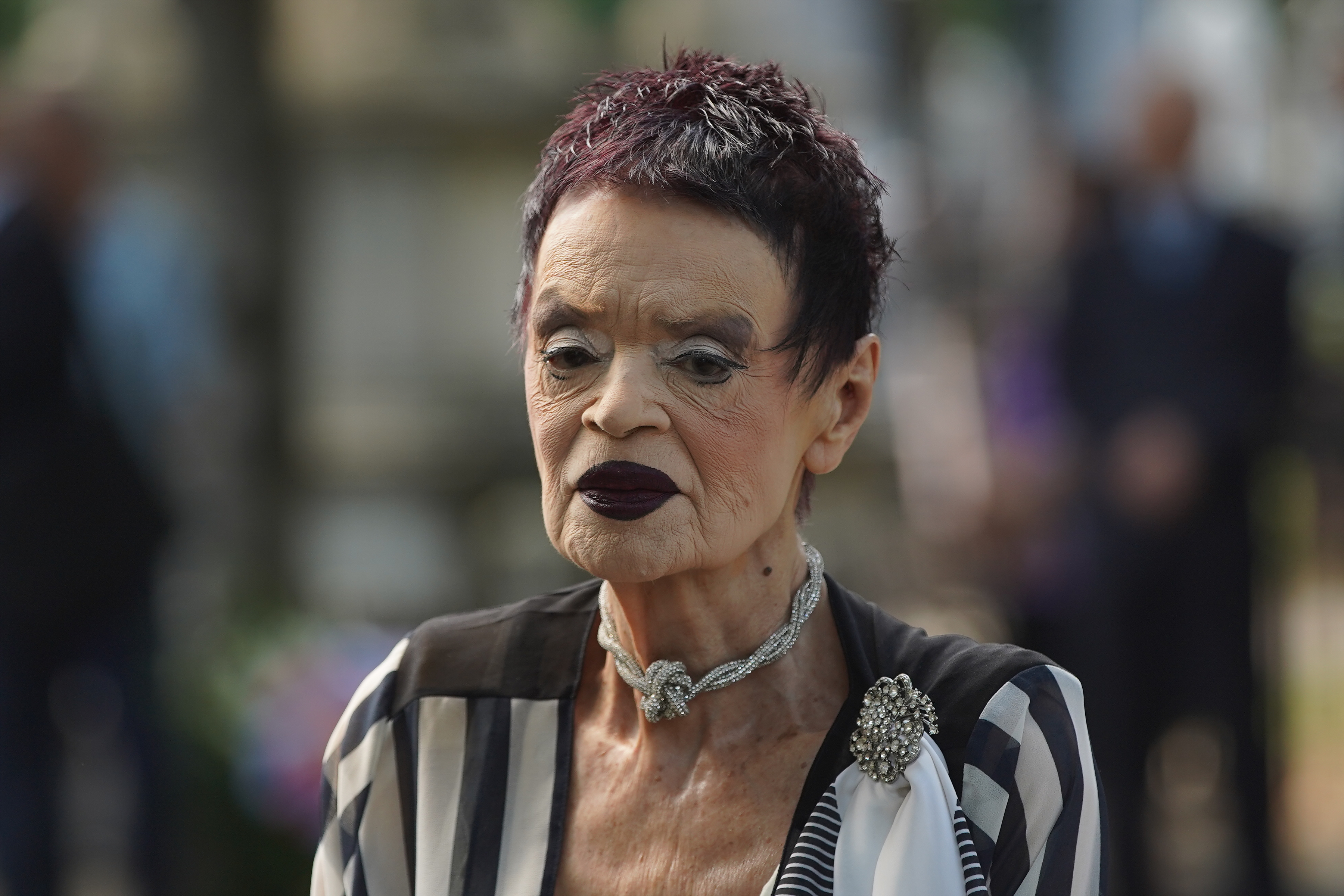 The funeral of Miroslav Lazanski in the Alley of Merited Citizens at the New Cemetery.Sahrana Miroslava Lazanskog u Aleji zasluznih gradjana na Novom groblju.