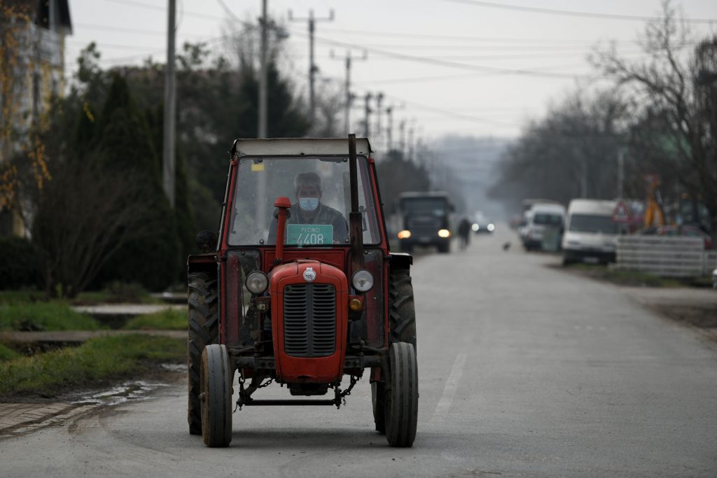 Kupinovo 16.12.2020. Šuma, šume, pečurke, tartufi Foto: Filip Krainčanić/Nova.rs