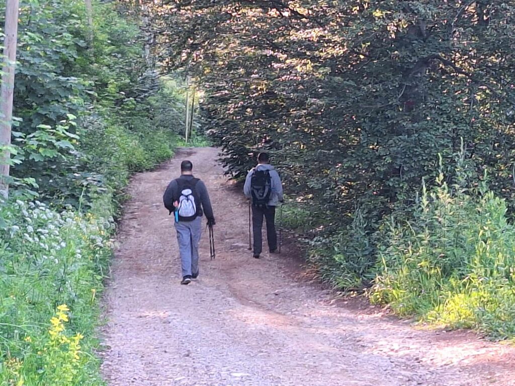 Suva planina. Milan Đorđević, Milan Djordjević, nestao, potraga
Niš, Bojanine vode kod Niša, muškarac nestao na izletištu Foto: Miljana Isailović/Nova.rs