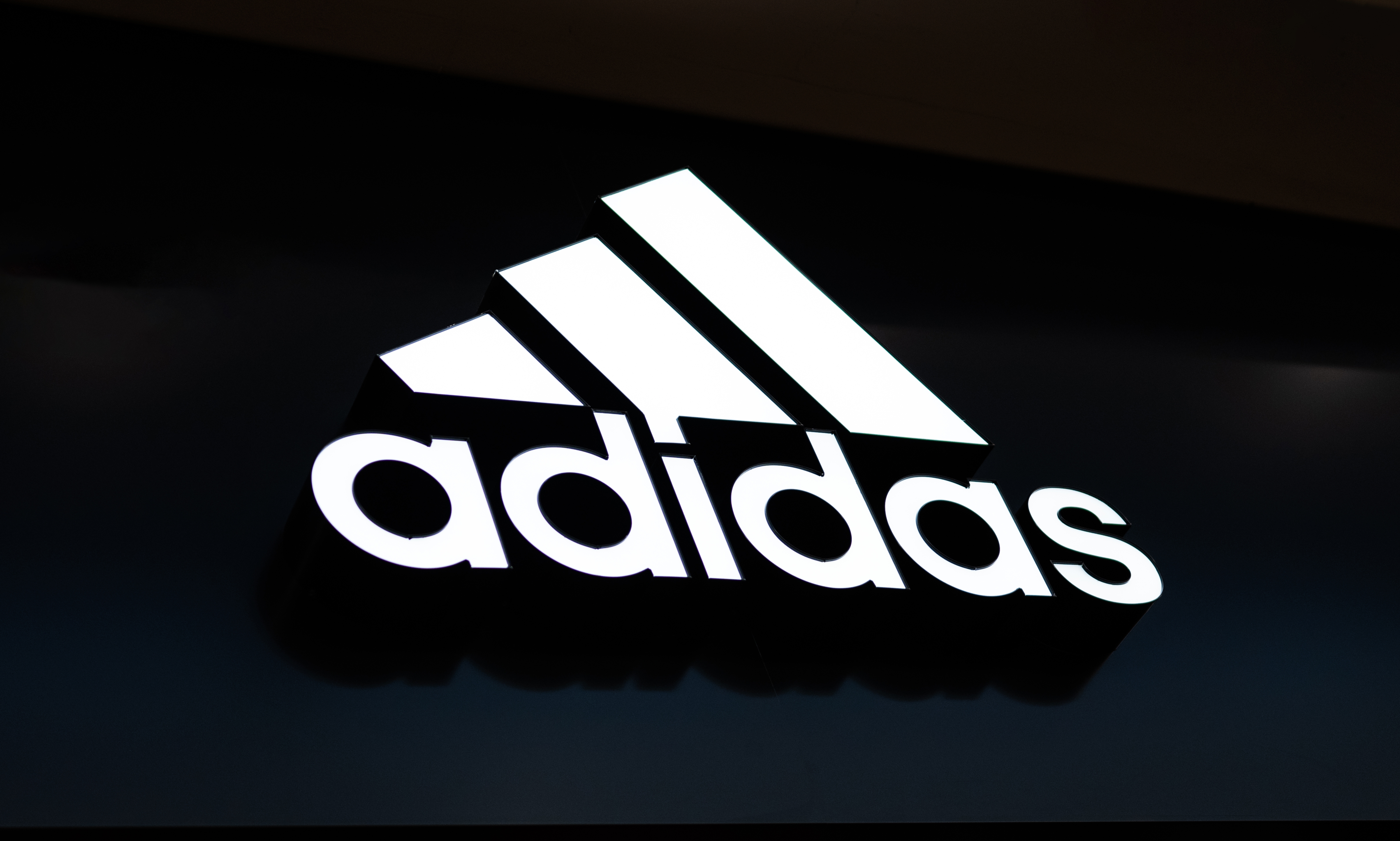 Adidas Foto: In Green / Shutterstock.com