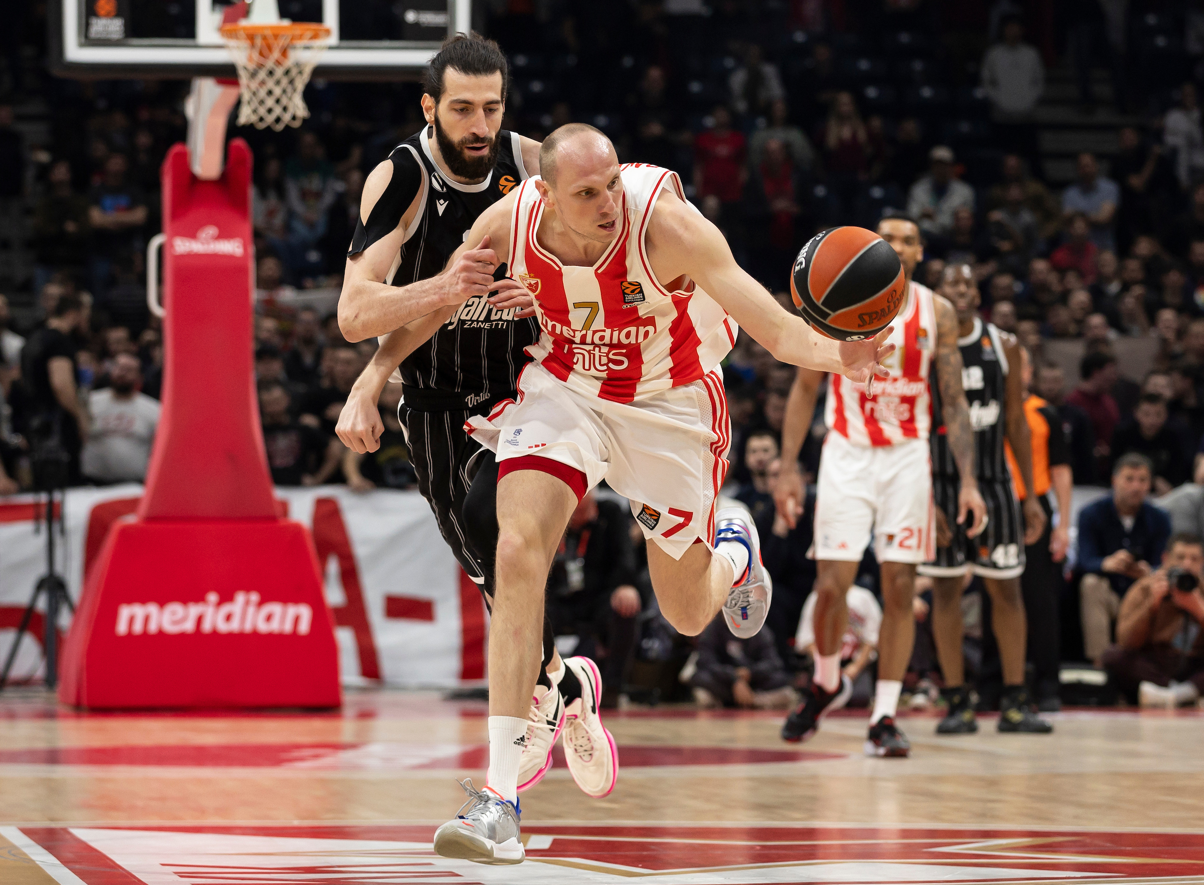 Crvena Zvezda v Virtus - Turkish Airlines EuroLeague