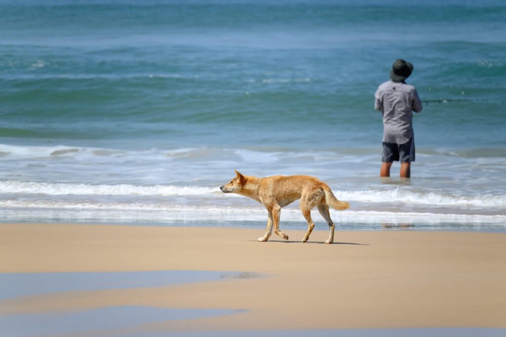 Image: 1006601534, License: Royalty-free, Restrictions: , Model Release: no, Credit line: Cynthia Jackson / Alamy / Profimedia