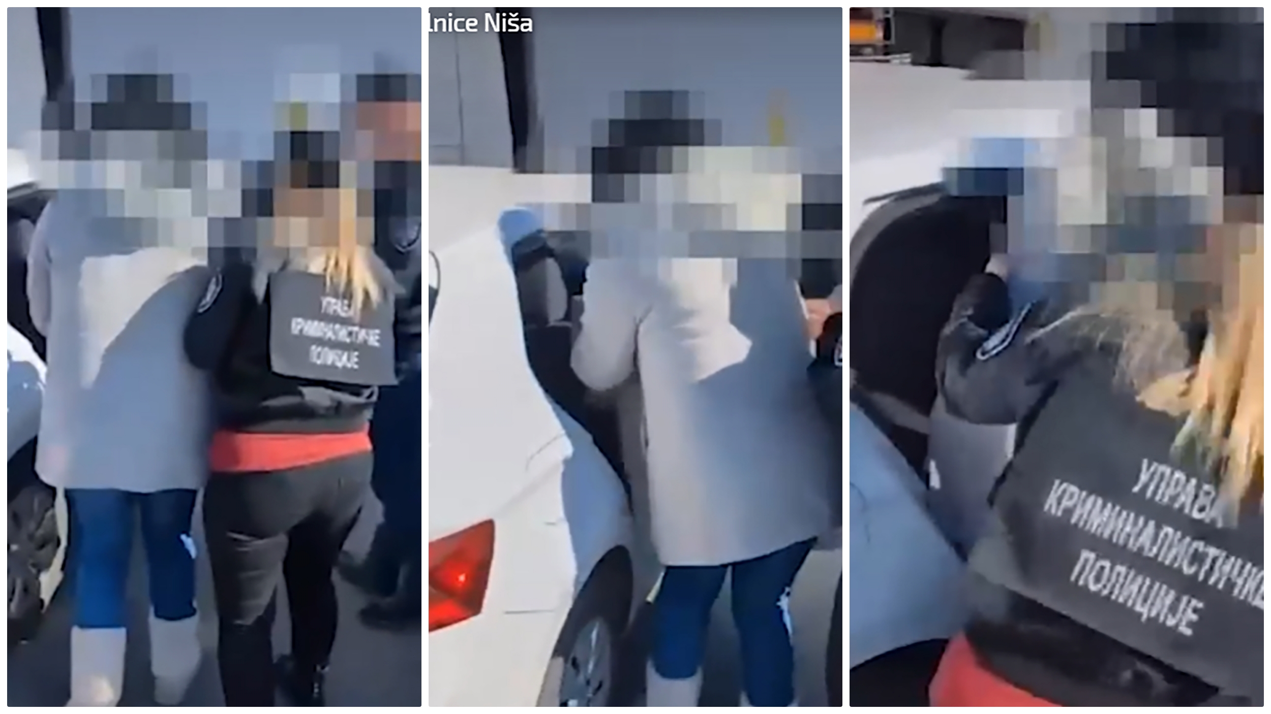 dragana sotirovski 5