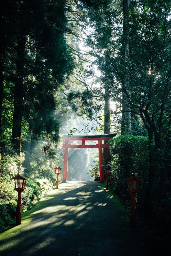 1747893350-syuhei-inoue-kaoHI0iHJPM-unsplash-683x1024.jpg