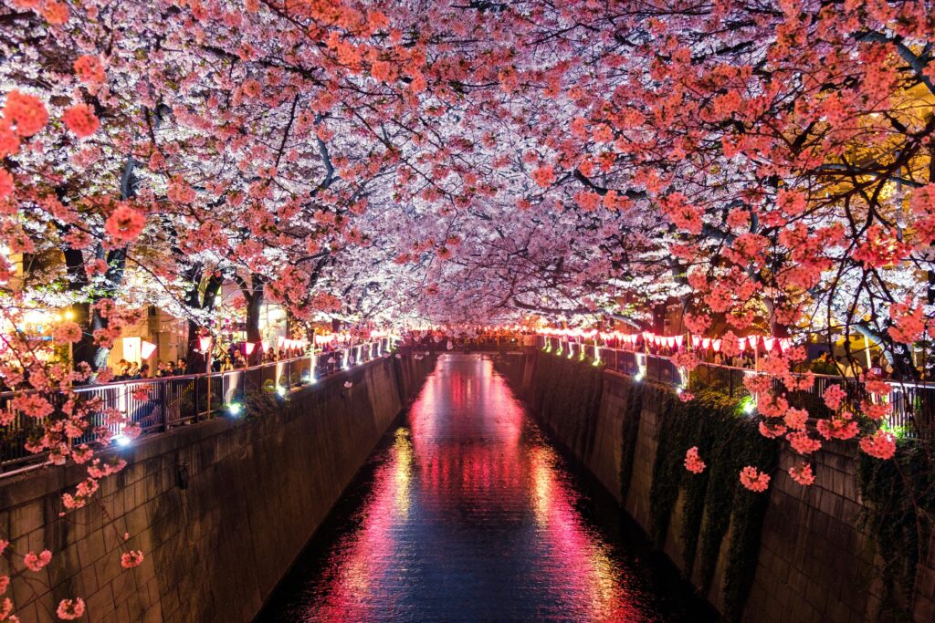 1747893447-sora-sagano-8sOZJ8JF0S8-unsplash-1024x683.jpg