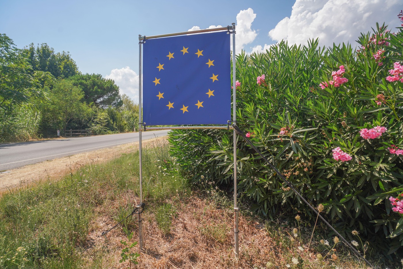 Image: 898490607, License: Royalty-free, Restrictions: , Model Release: no, Credit line: amer ghazzal / Alamy / Profimedia