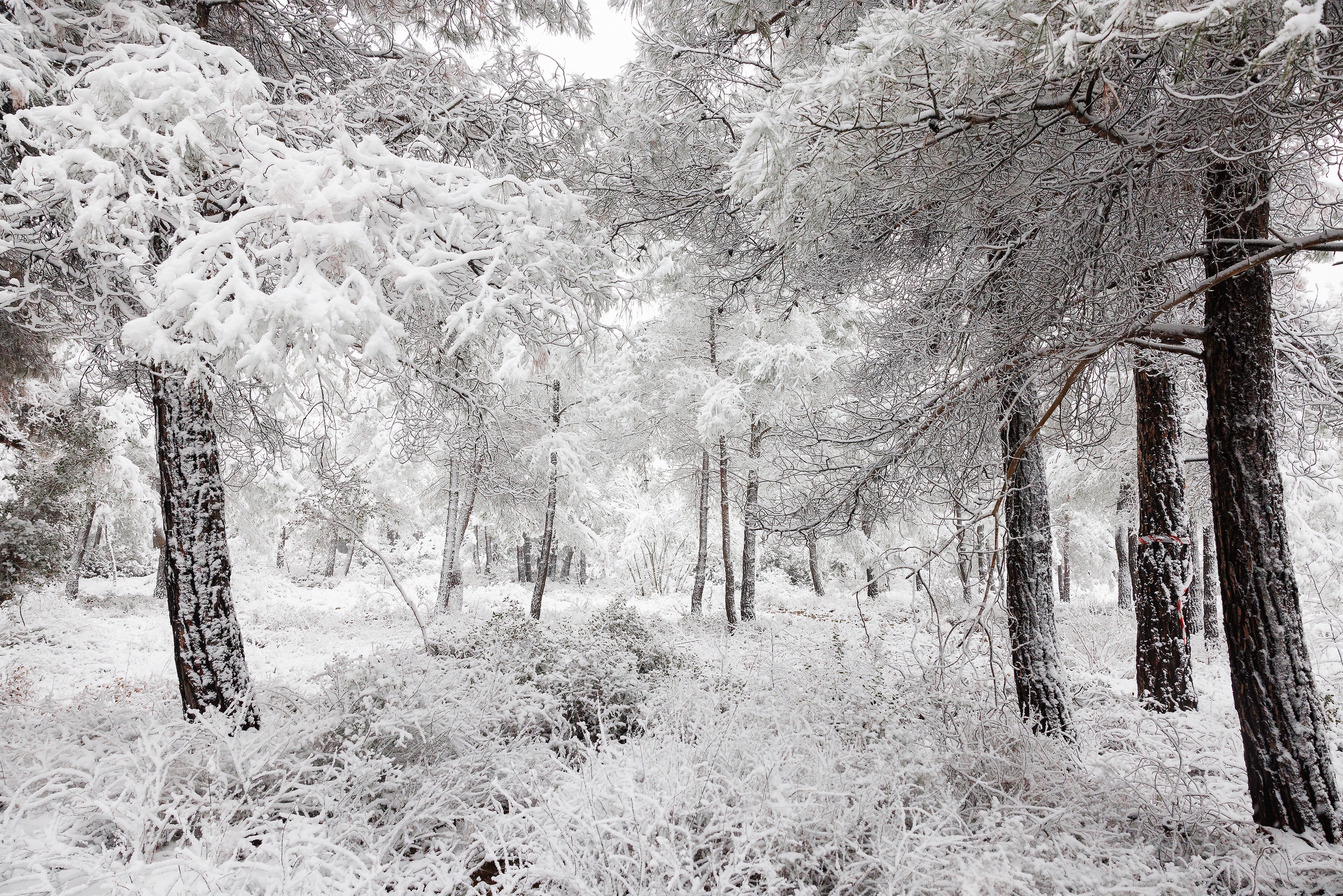 Greece experiences adverse weather conditions